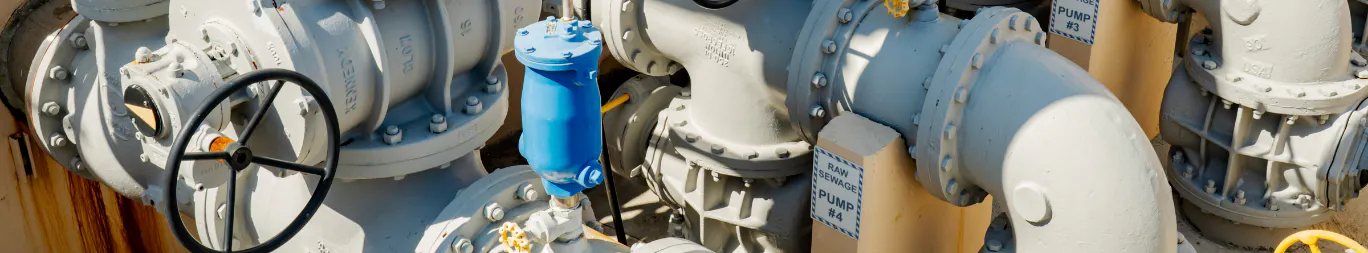 Raw sewage pumps