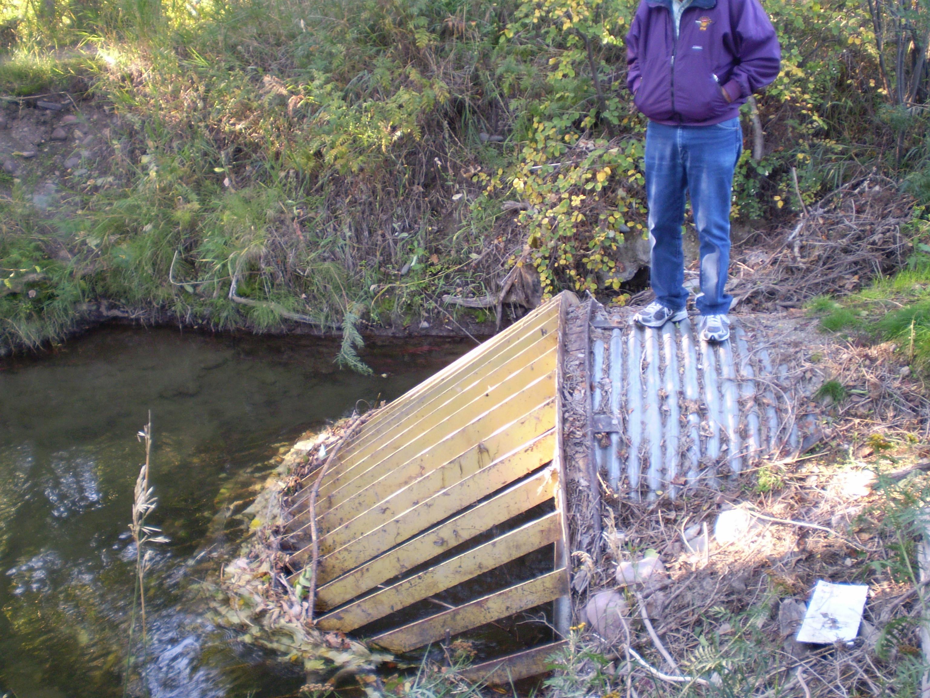 Culvert under California St bridge - 2009.