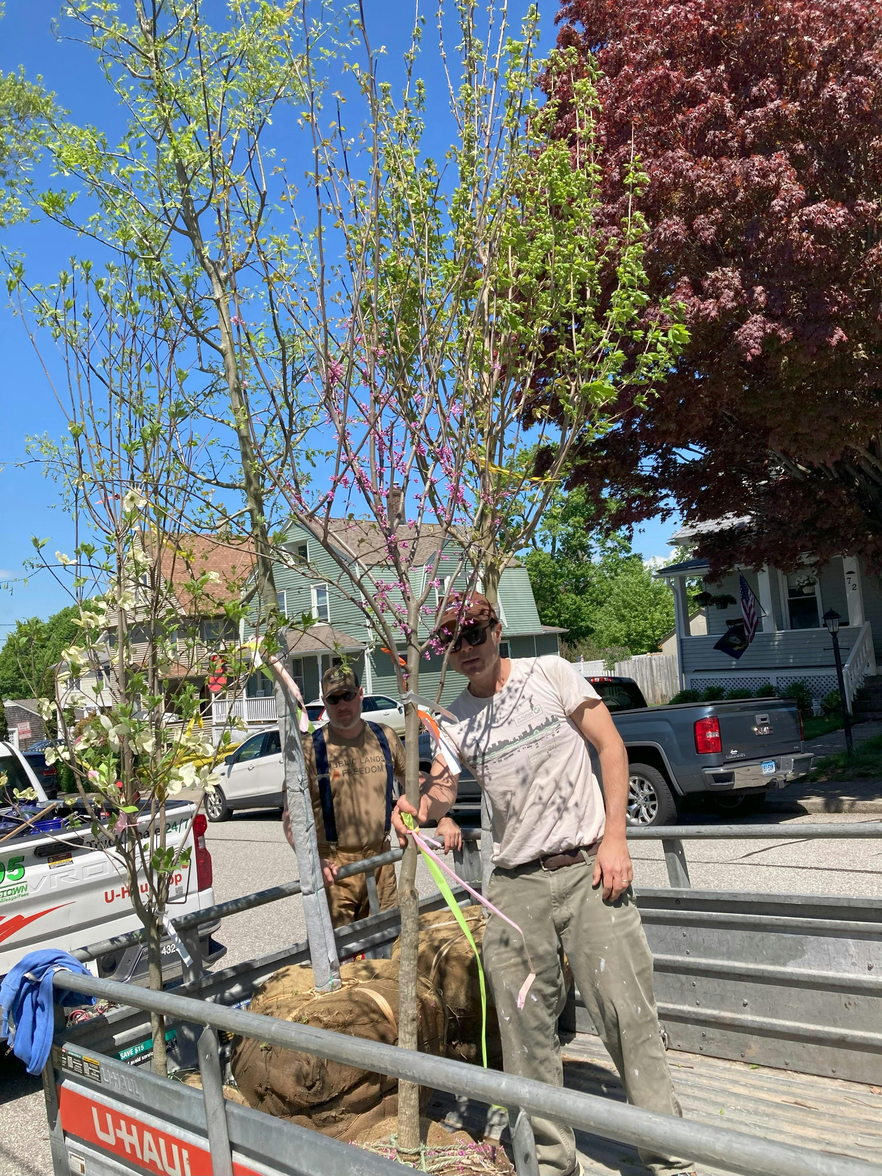 Spring Tree Planting_4.jpg