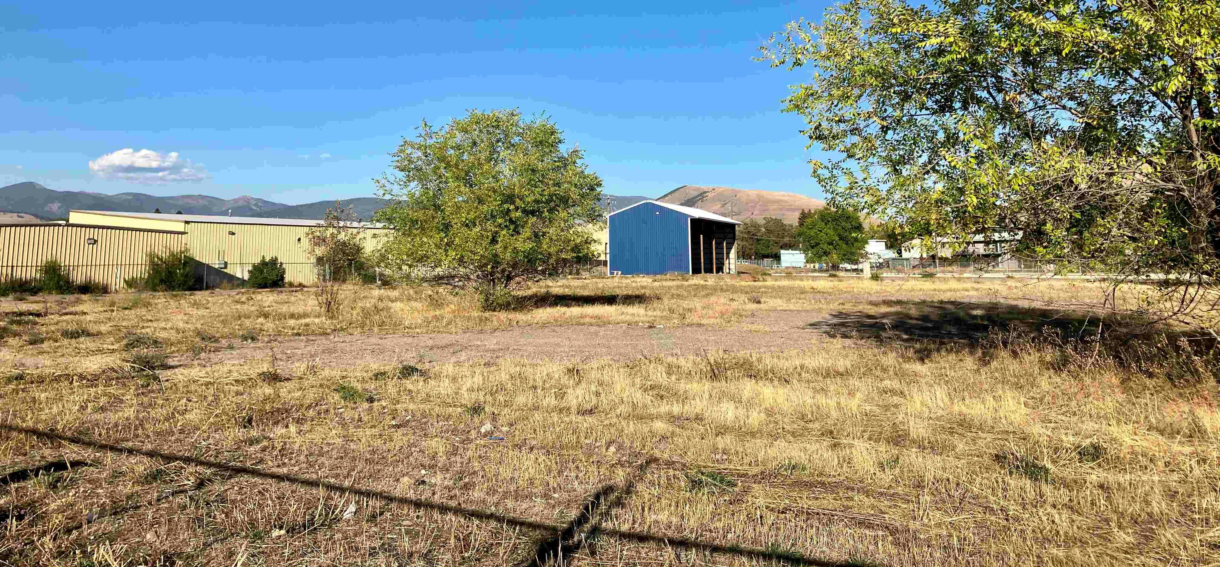 IMG_E1657 reduced.jpg