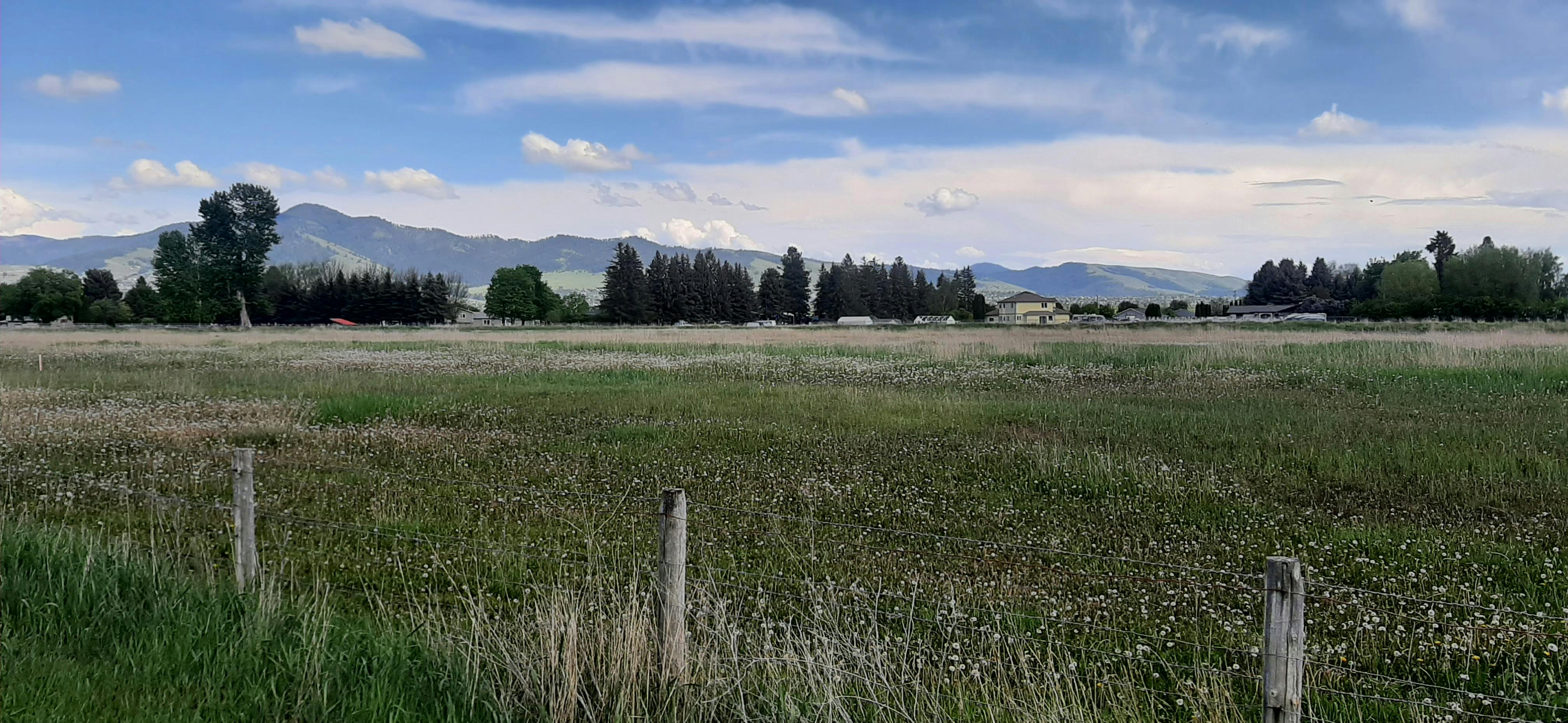 Dairy Subdivision Site - View from North Avenue