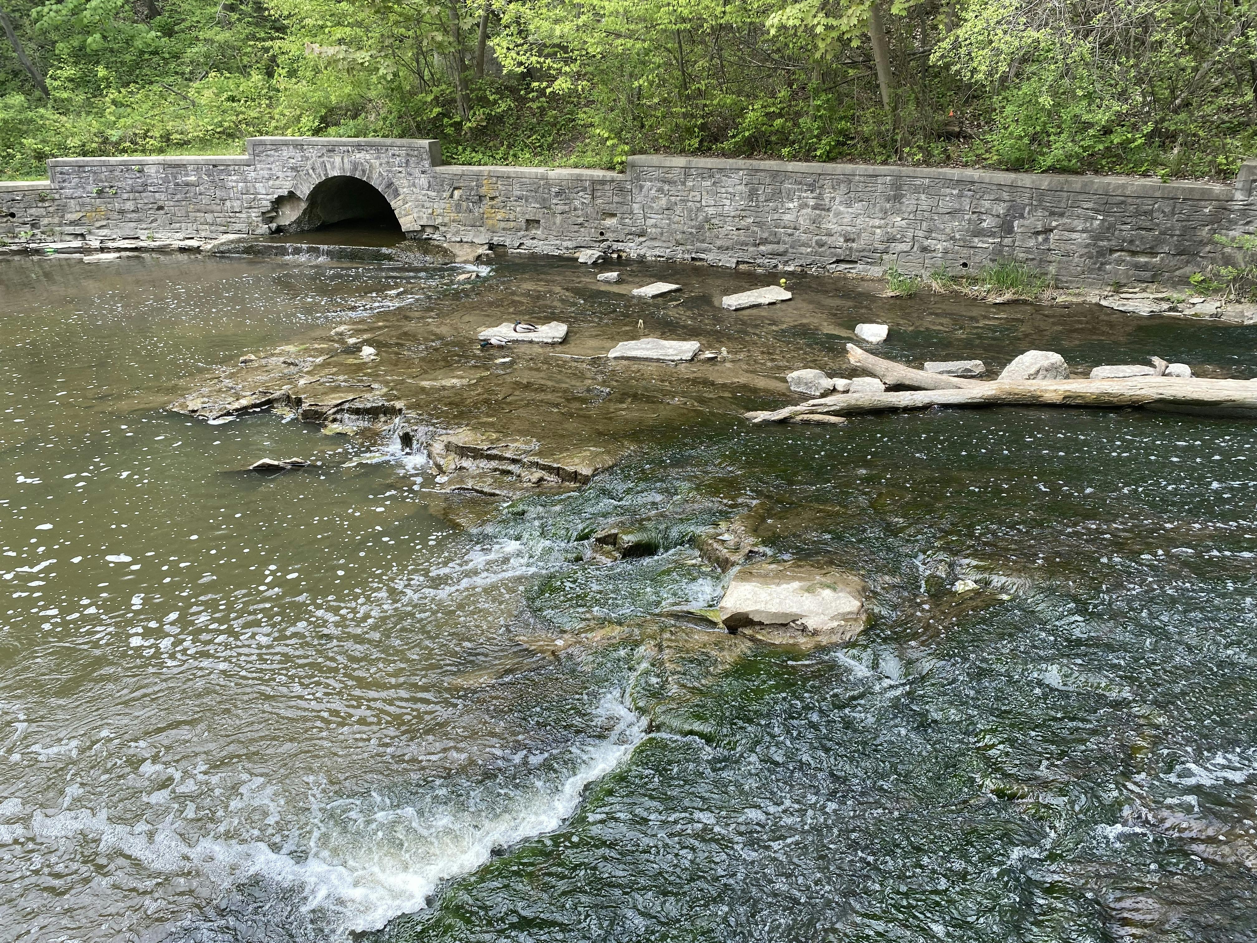 Oak Creek Parkway 3.jpeg