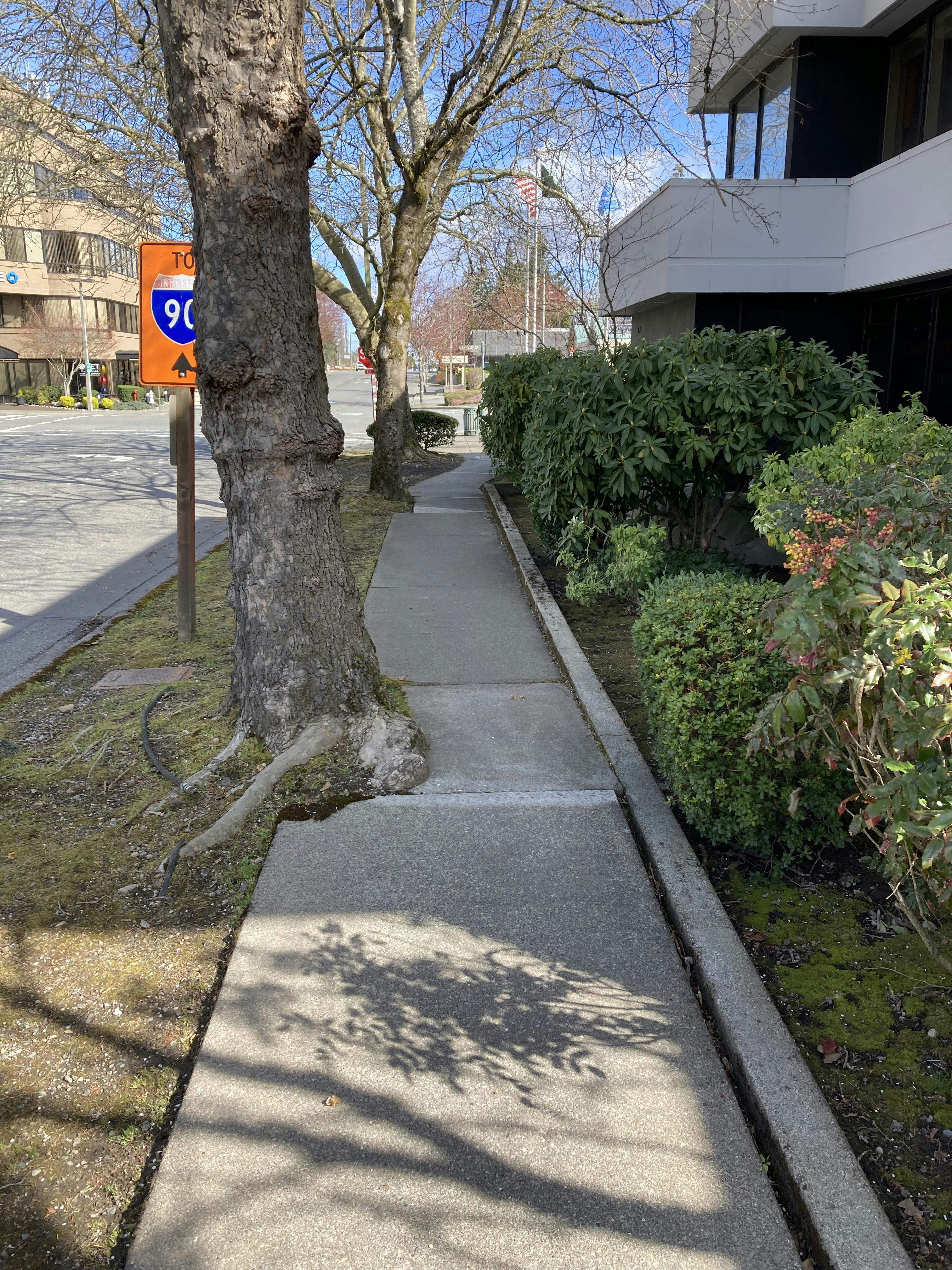 Sidewalk along 80th Ave