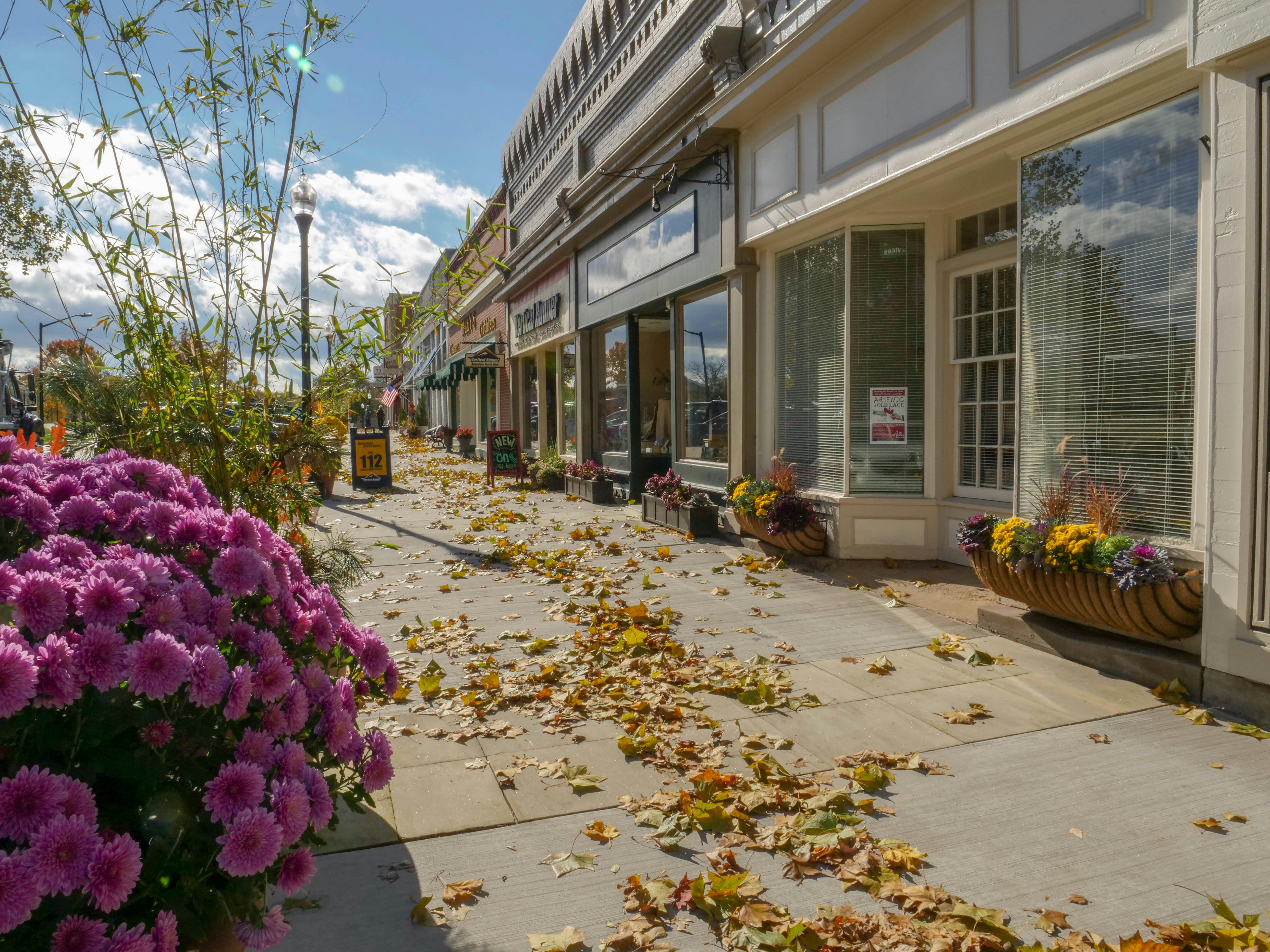 Downtown Hudson in the Fall