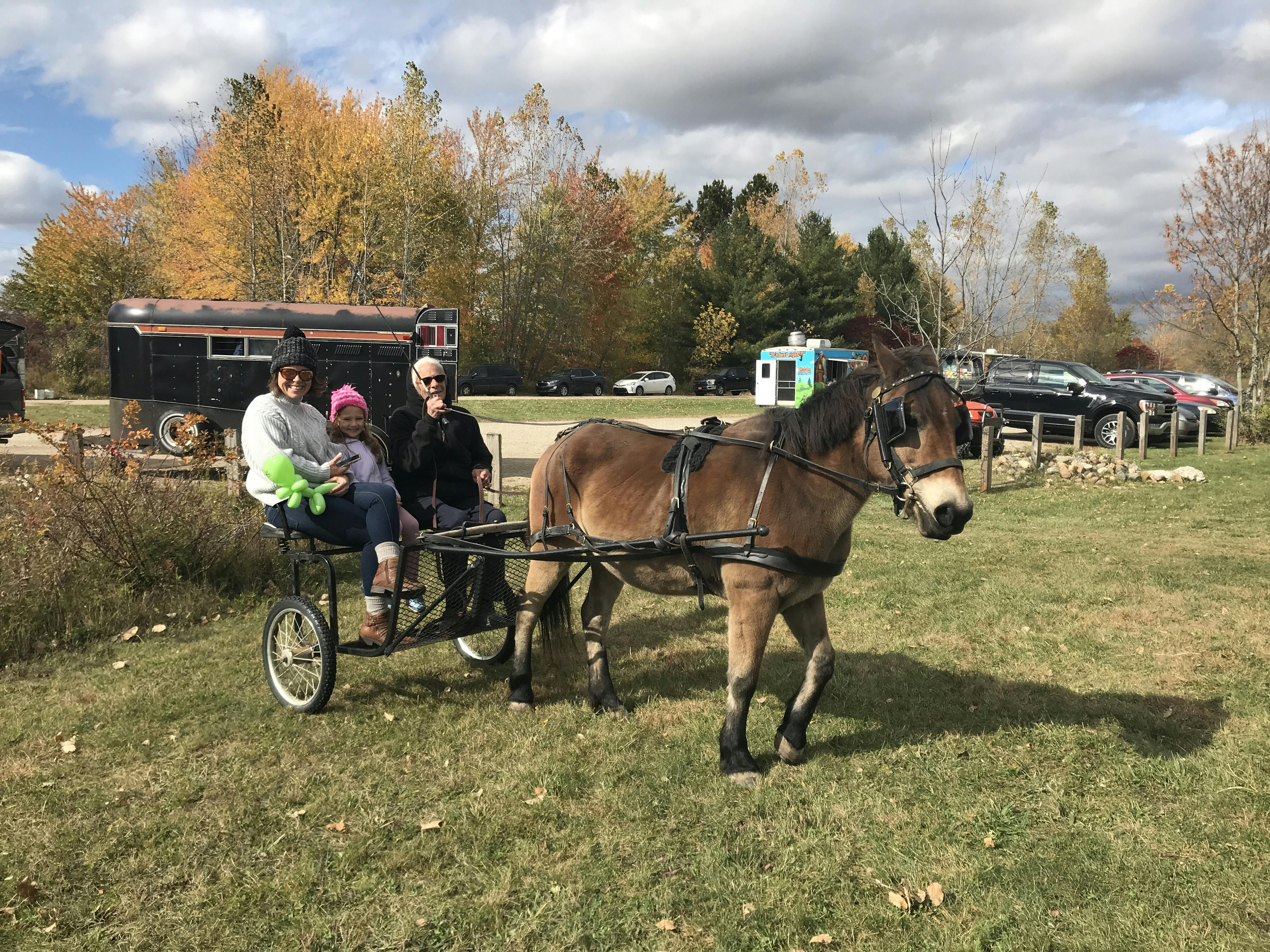 Winnie the ponie pulling a cart ride.JPG