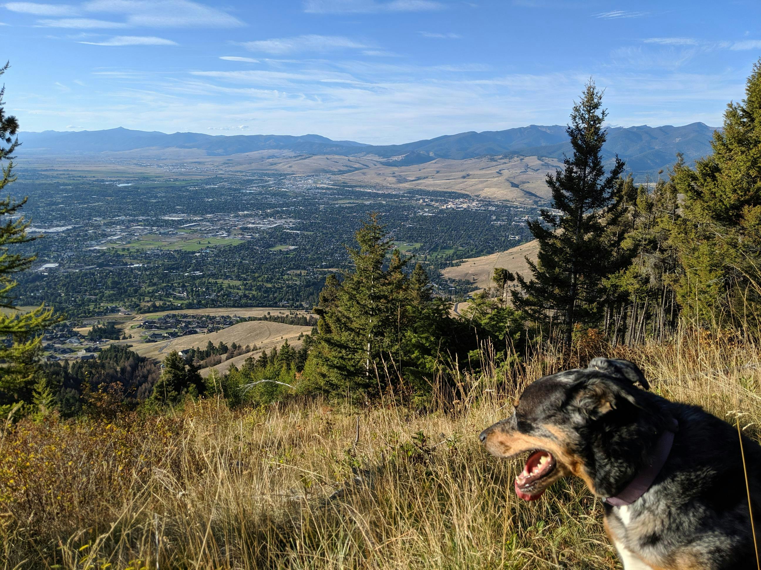 Dogs view of Missoula from Mount Dean Stone_by Brian Williams_courtesy of Five Valleys.JPG
