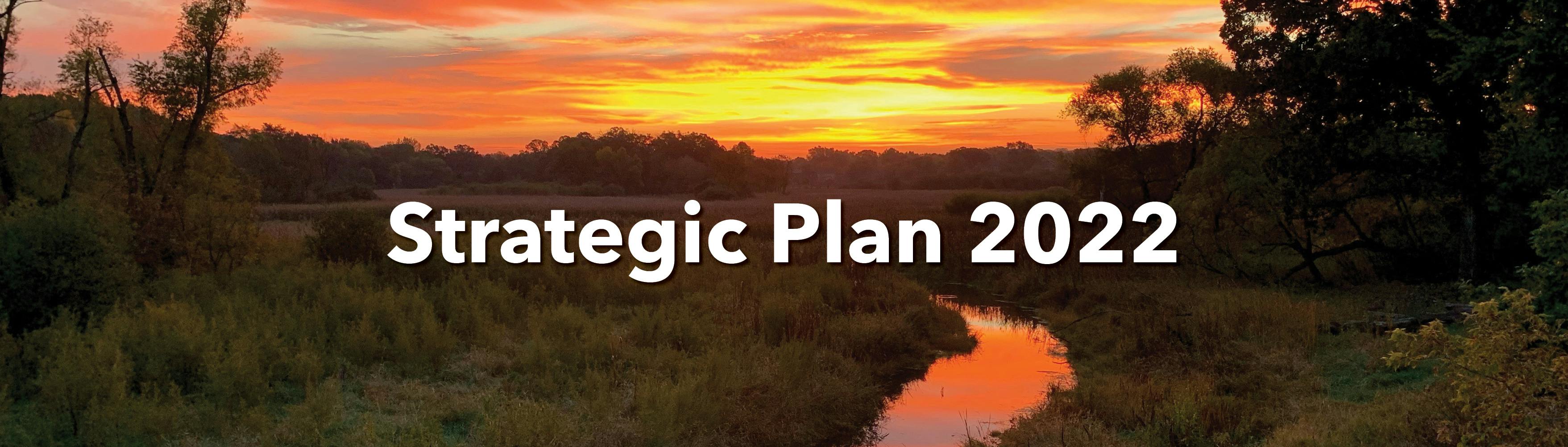 Strategic Plan 2022