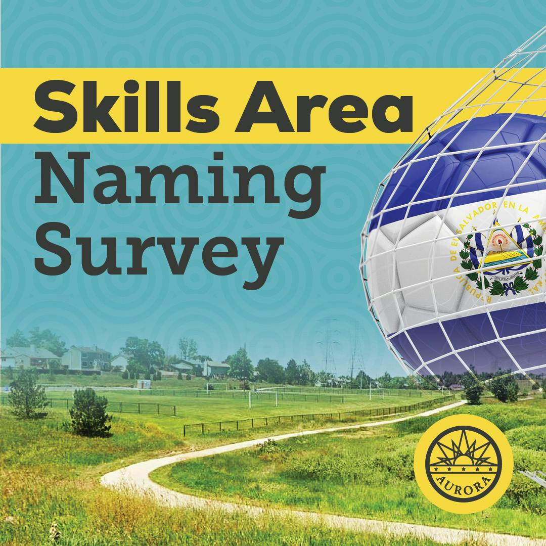 Skills Area Naming Survey. Photo of Skills Area and Soccer Ball with El Salvador flag on it flying into net
