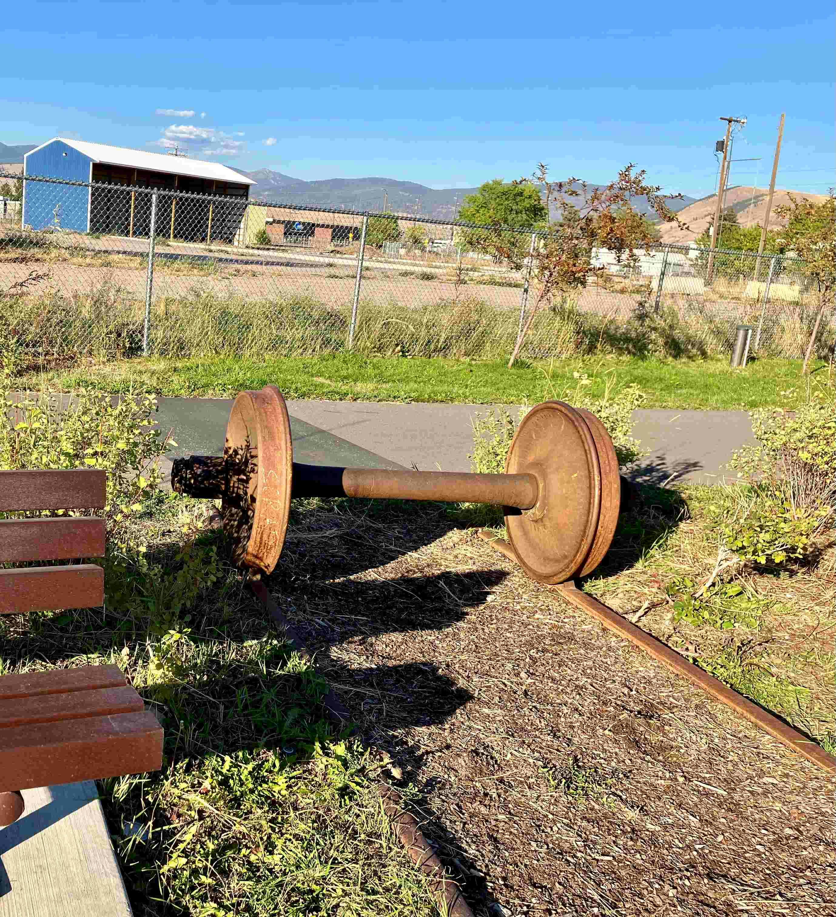 IMG_E1672 reduced.jpg