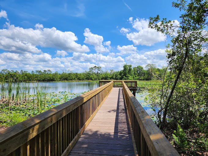 OBSERVATION PIER.jpg