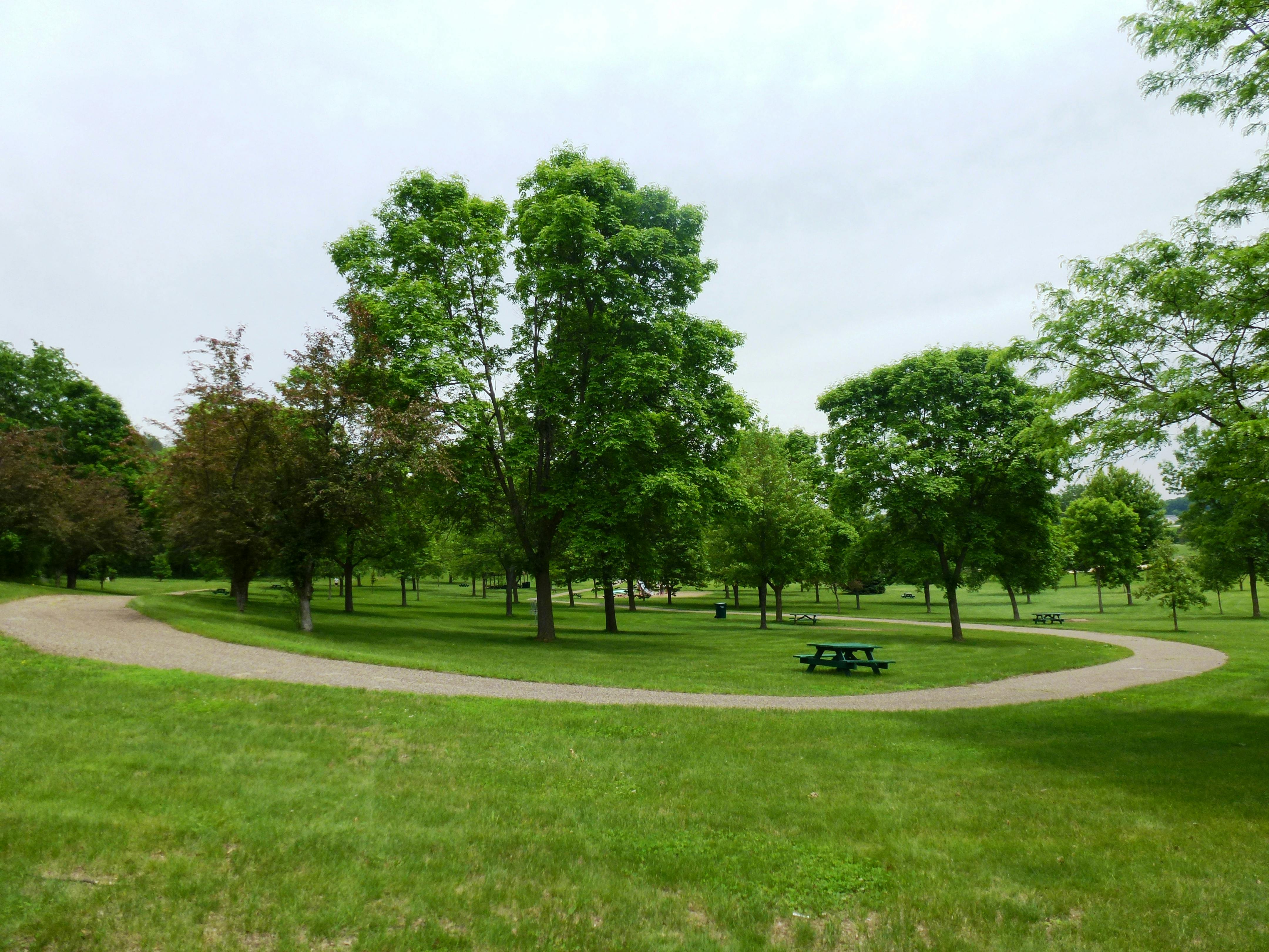Hoffman Park View of trees in south of looping pathway.JPG