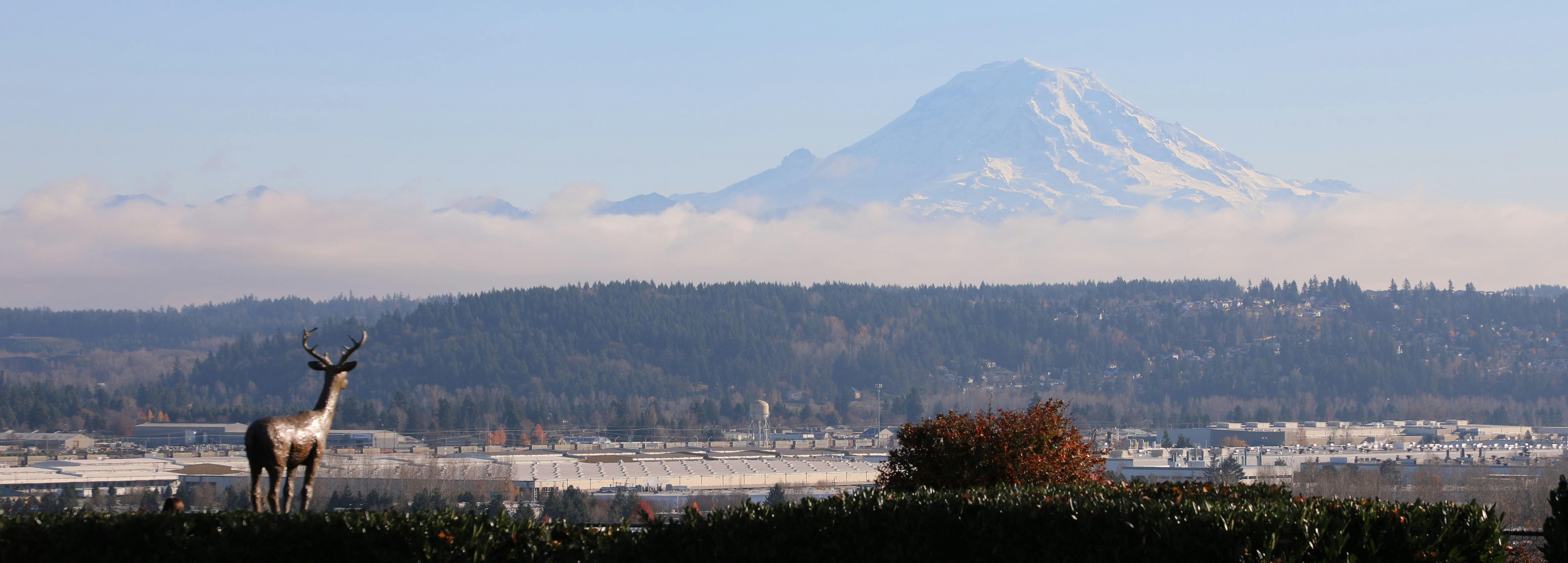 Image of Mt Rainier