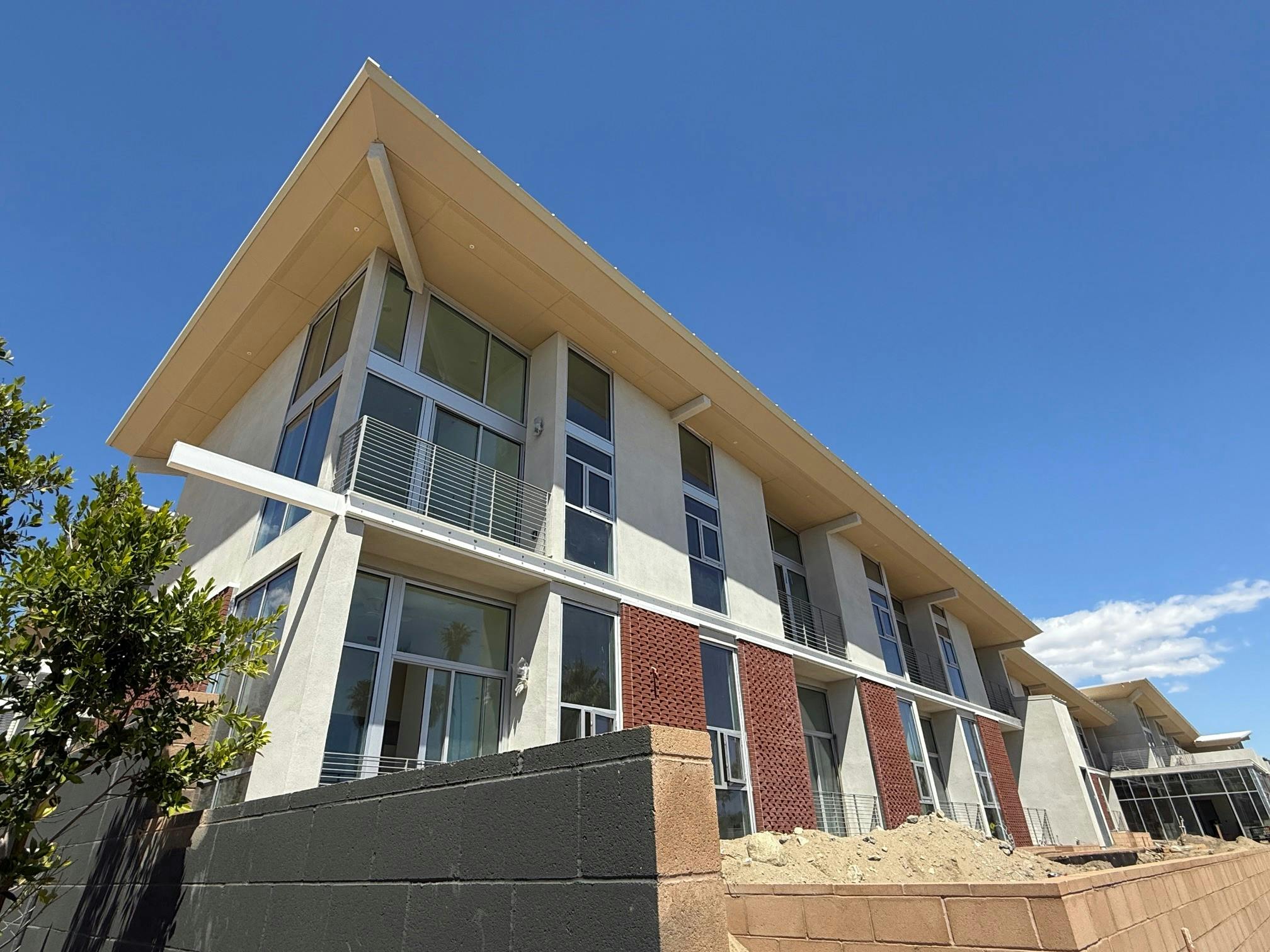 Aloe Palm Canyon 1.jpg