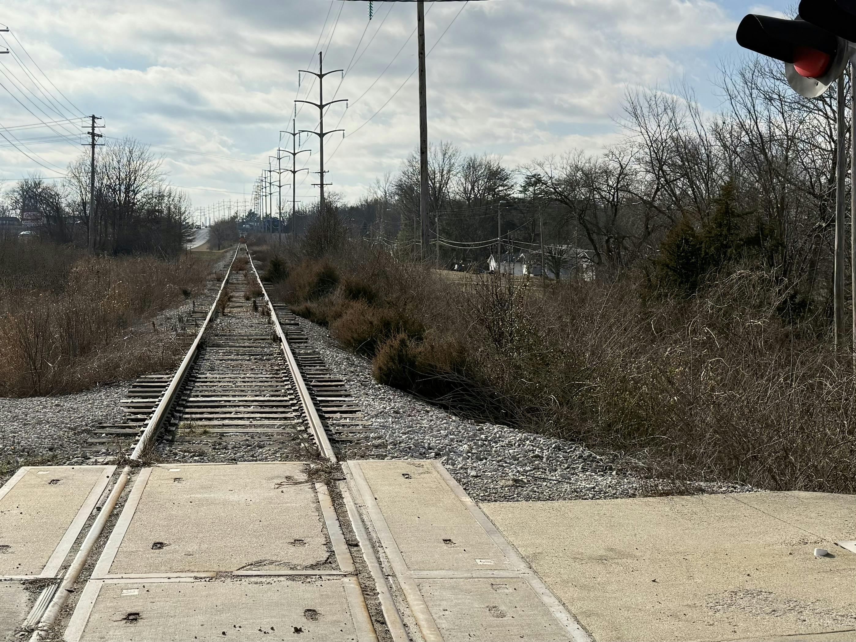 COLT at East Brown Station.jpg