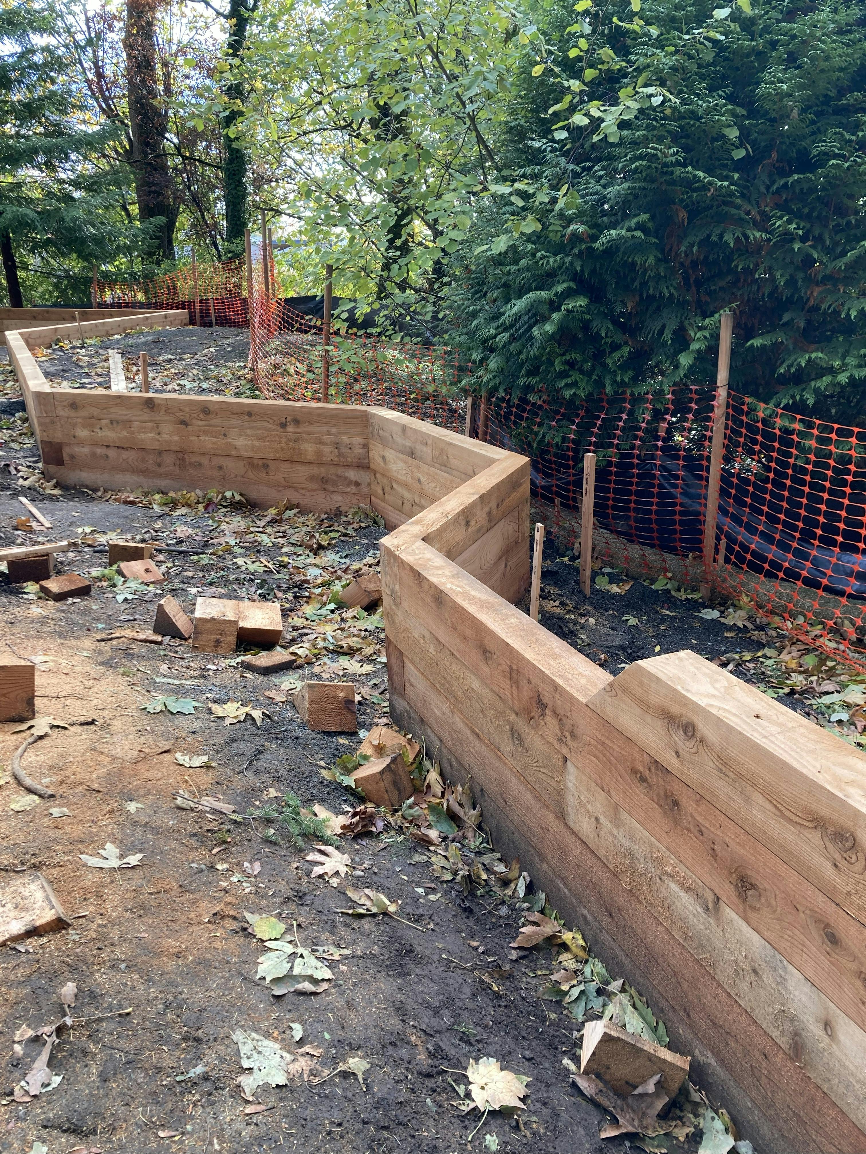 New timber border