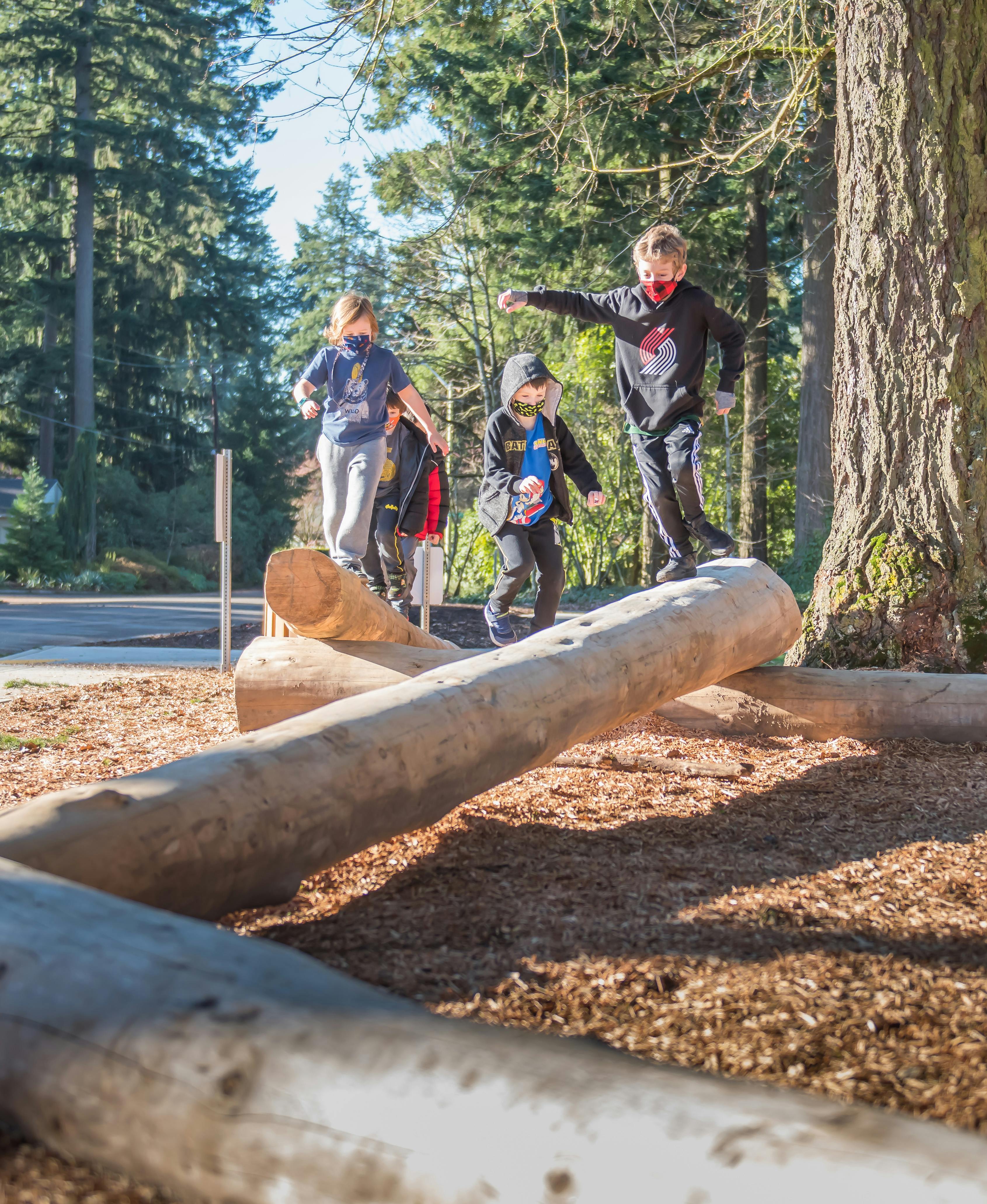 Dubois Park Log Balance.jpg