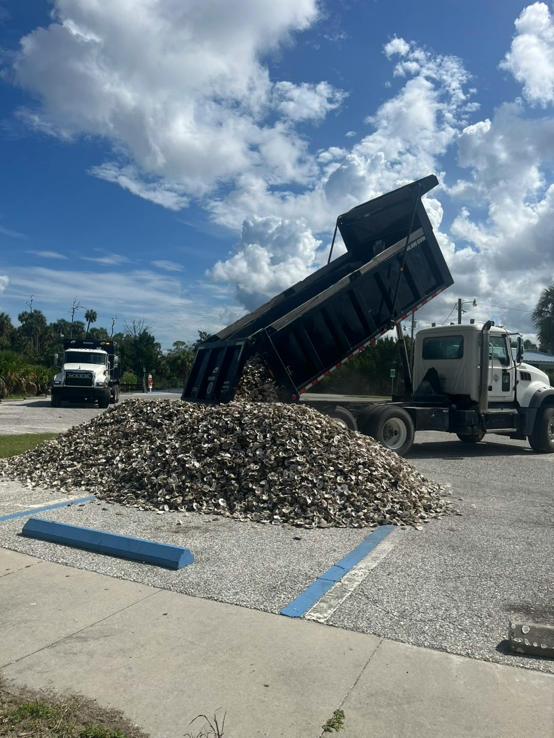 dump truck dumping shells