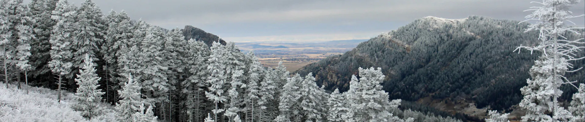 Gallatin Valley Sensitive Lands Protection Plan | Engage Bozeman