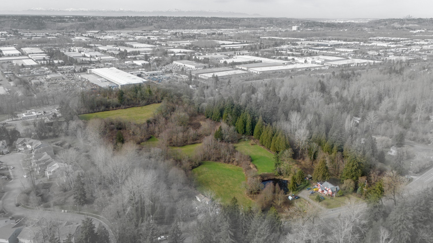Field bordered by trees and shrubs