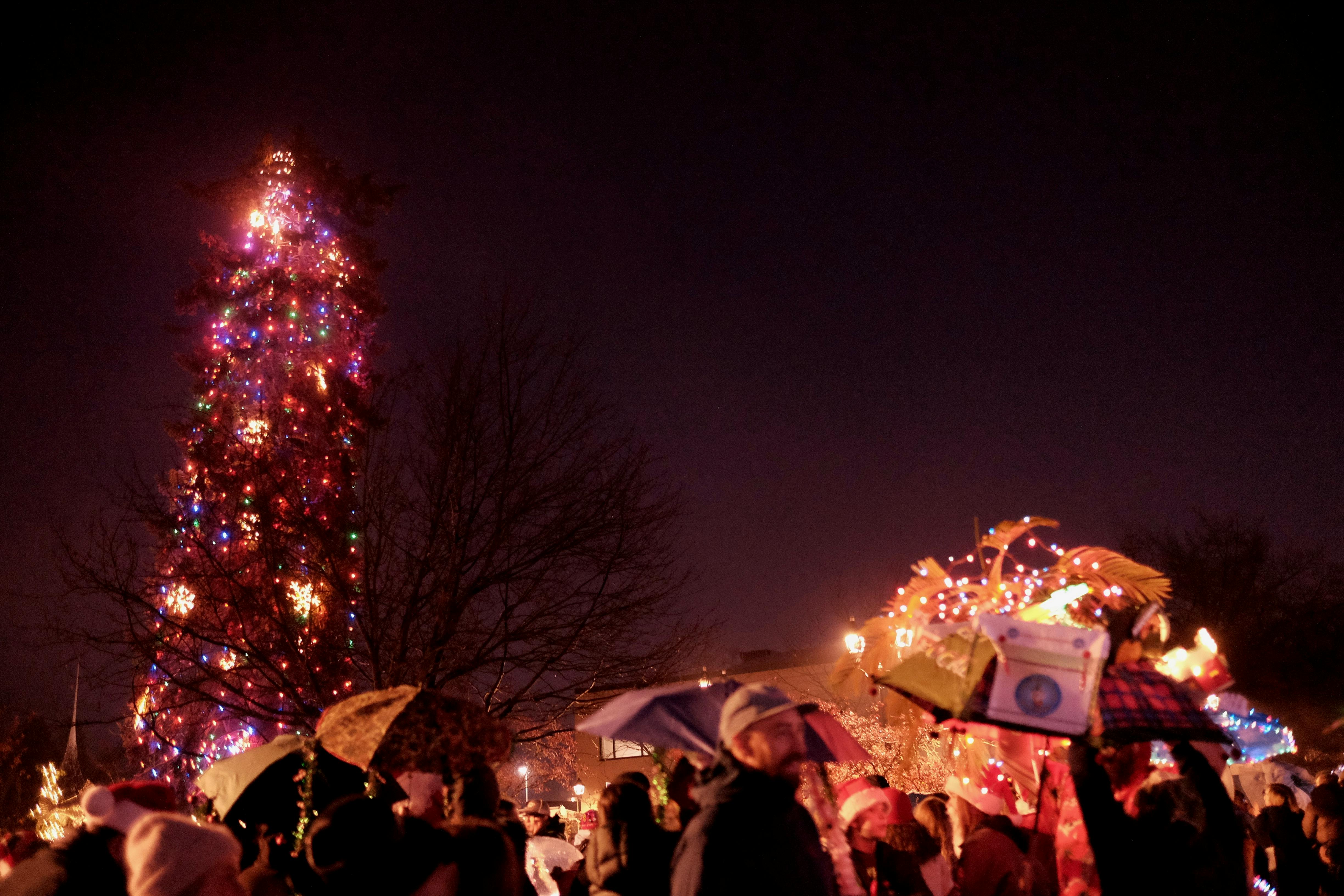 Umbrella Parade and Tree Lighting 2024