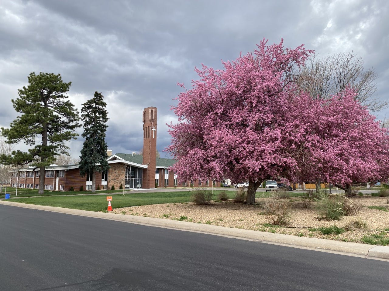 26th and Lamar Spring