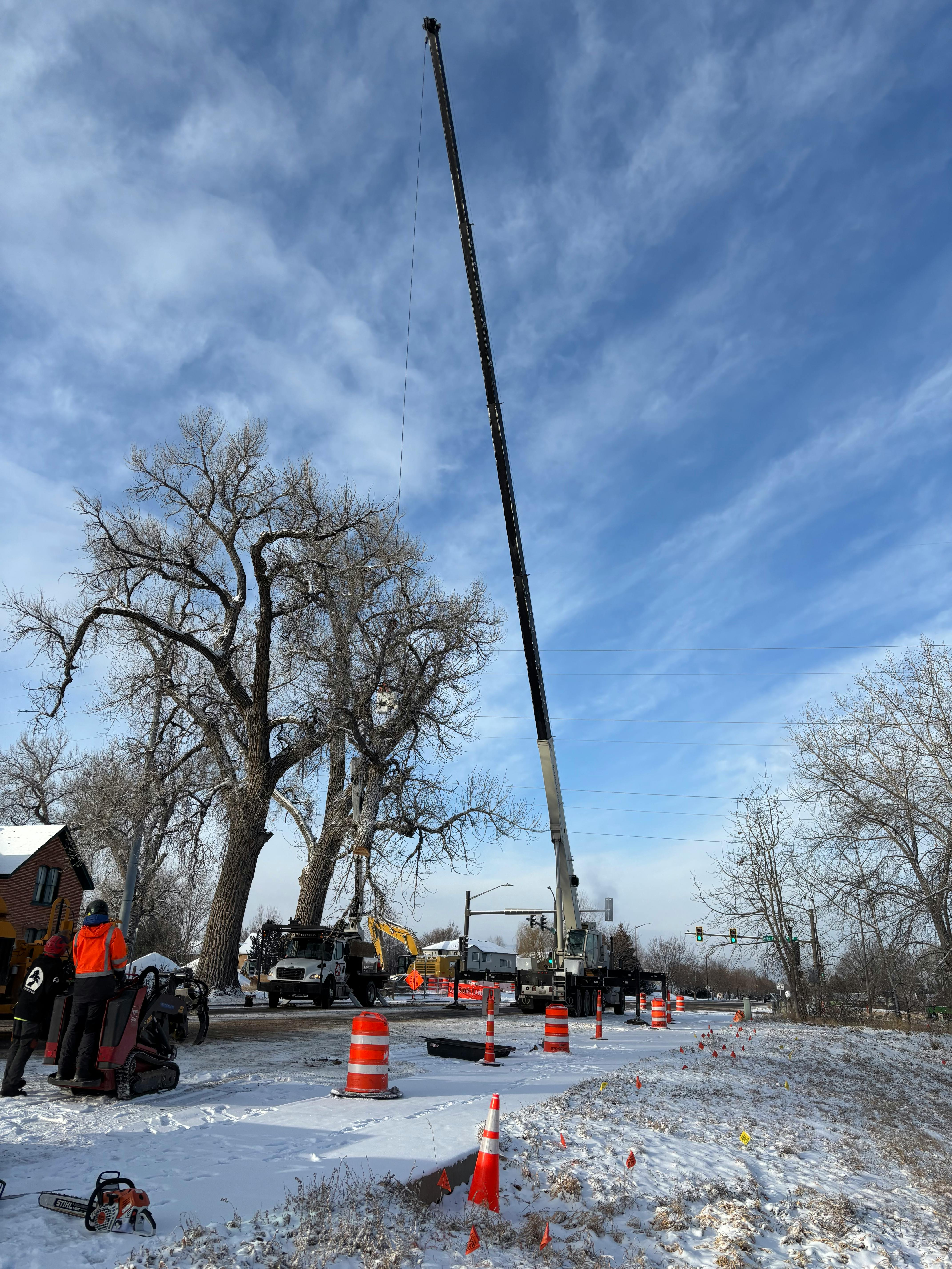 Crane Removing Tree Jan. 24