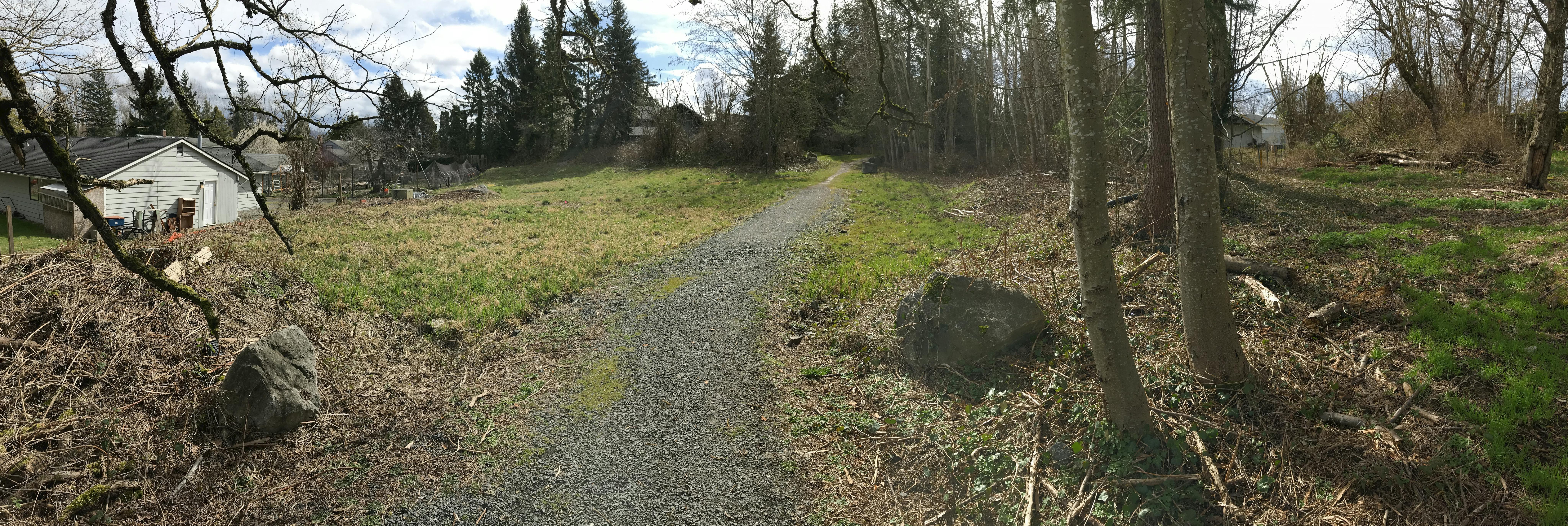 View south along existing trail towards Cherrywood Avenue pond area.