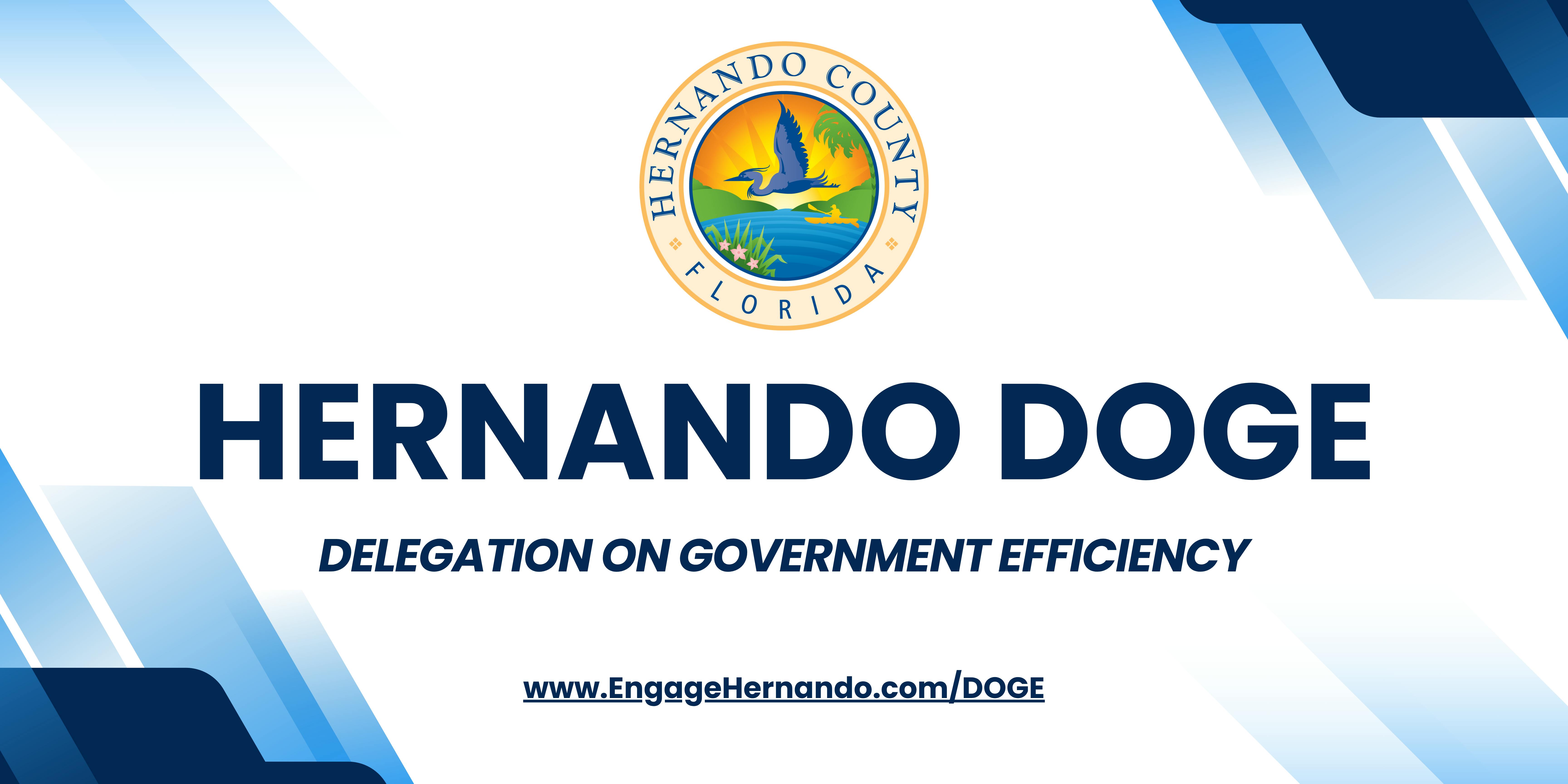 Hernando DOGE Banner