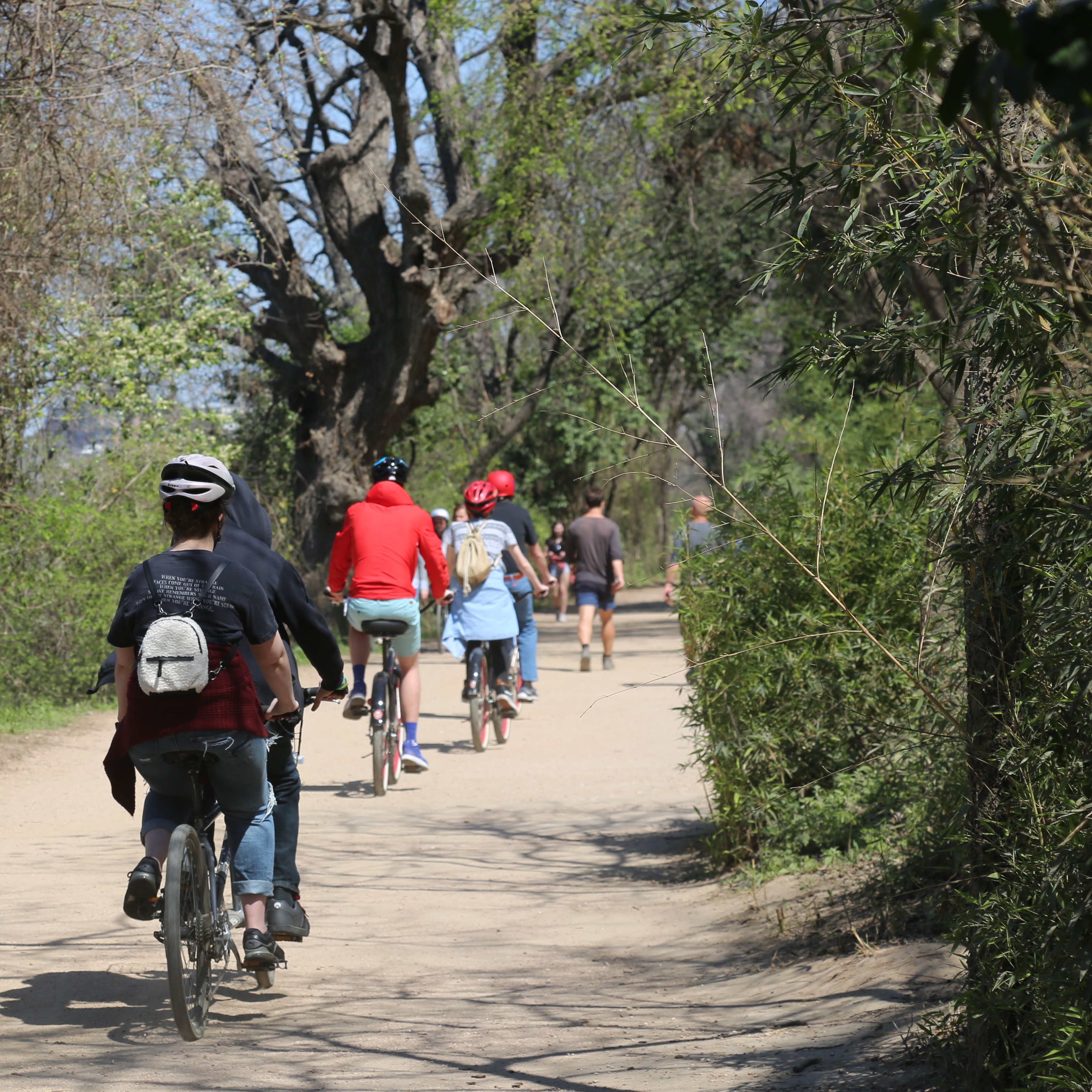 motorized trail bikes