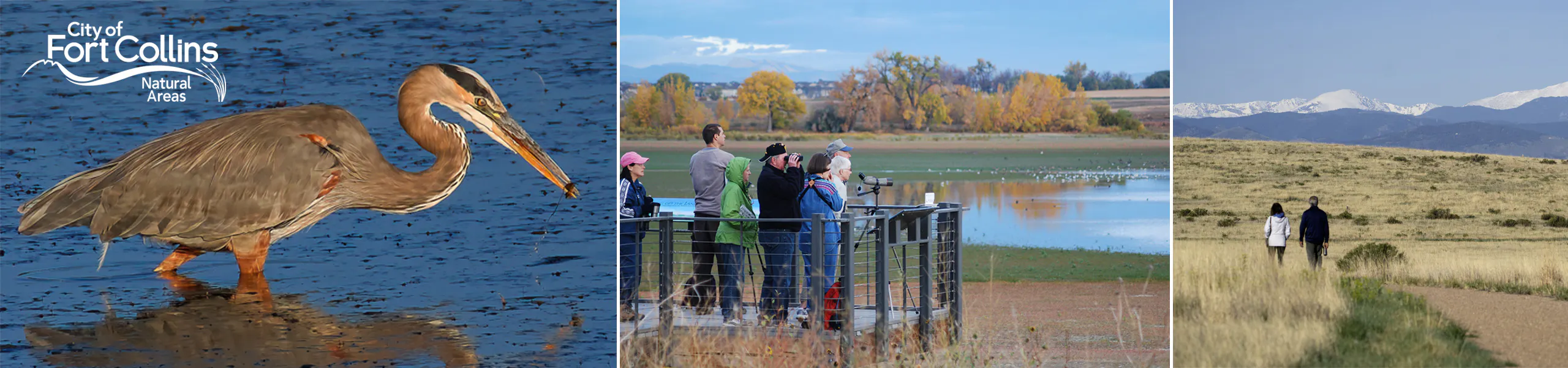 Project banner includes photos of an oriole on the left, a mountain lion in the center, and people hiking on the right.
