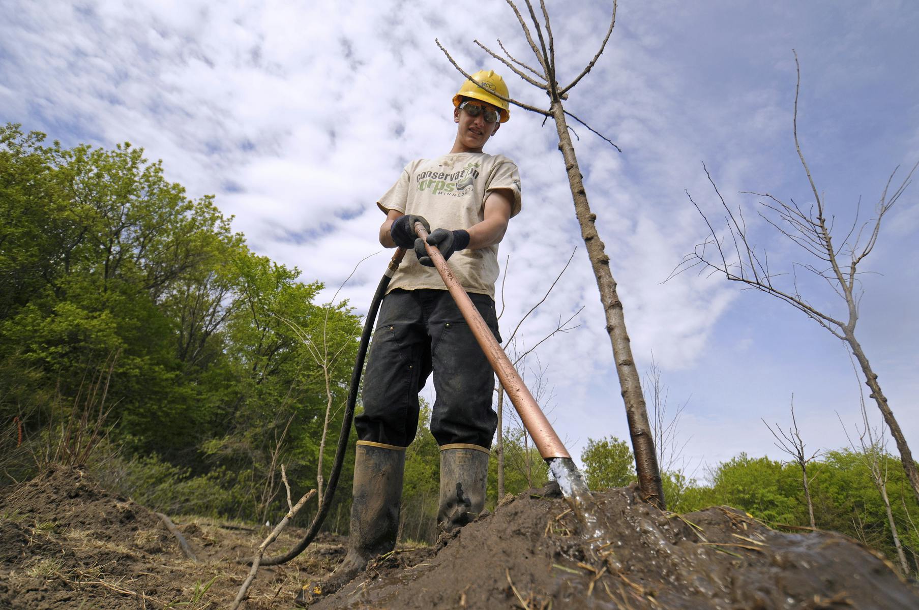 Tree planting at Crow-Hassan Park Reserve