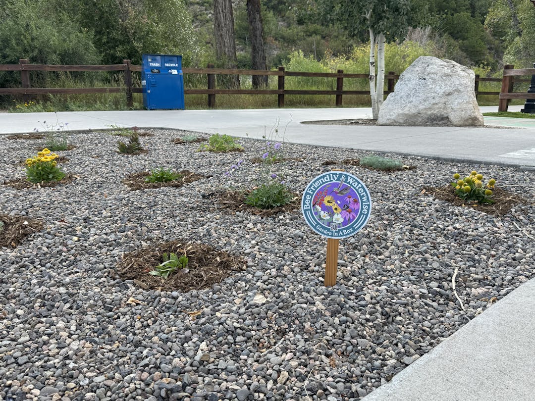 Landscaped section of city property