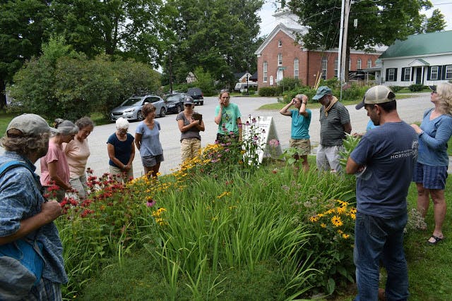 Volunteers who worked on the Pollinator Garden learn about native plants from Annie White.