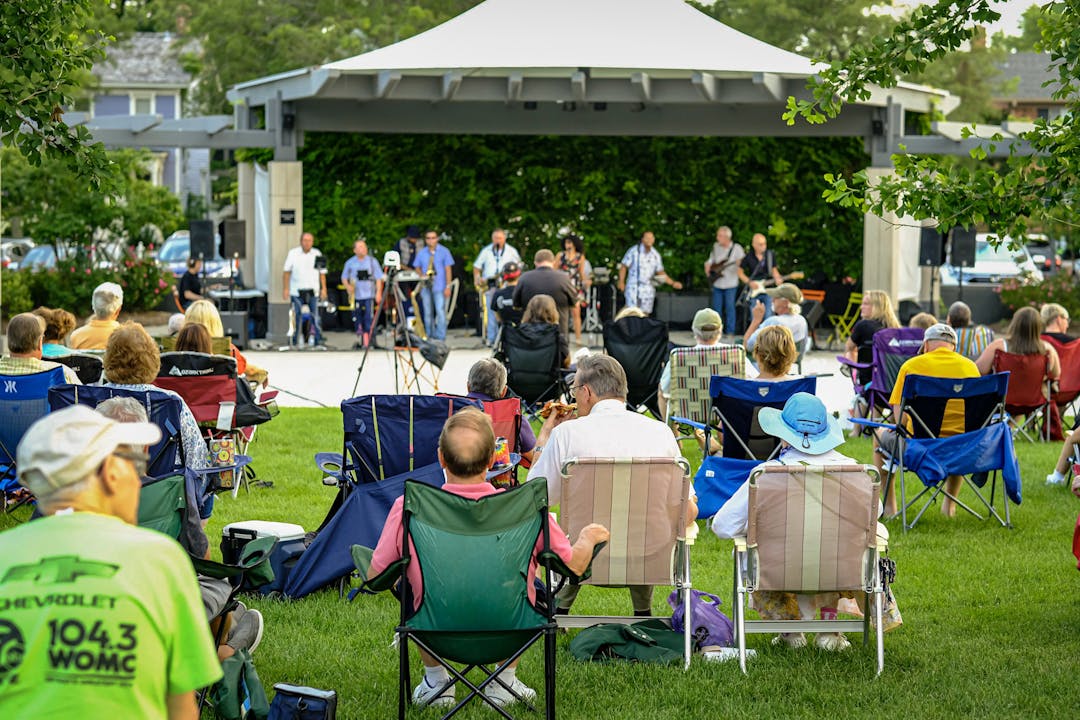 In the Park Summer Concert Series Feedback Engage Birmingham