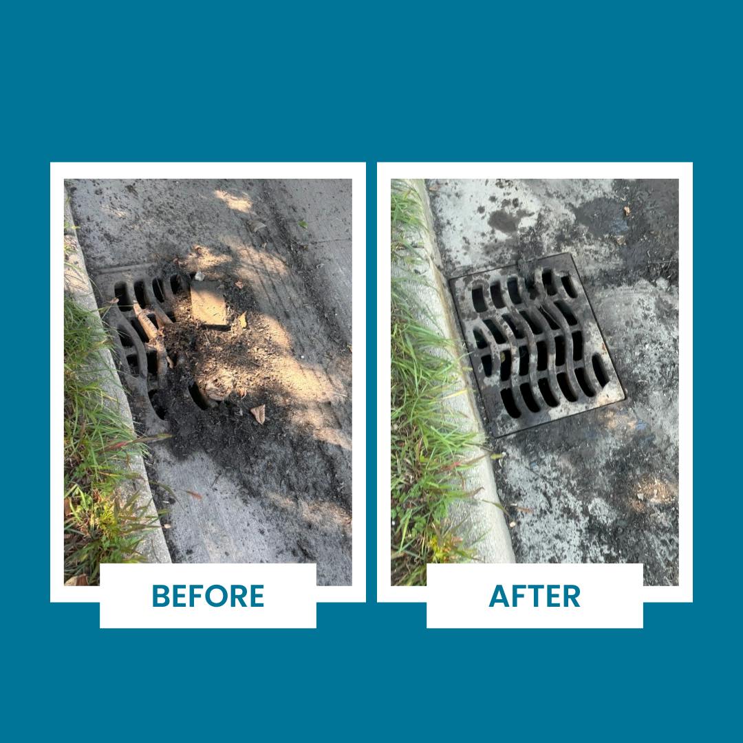 Catch Basin_Before_After.png