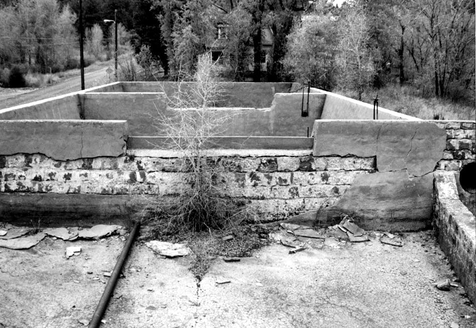 Historic Photo of Plant