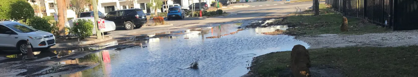 Water flooding Washington Street in Dunedin