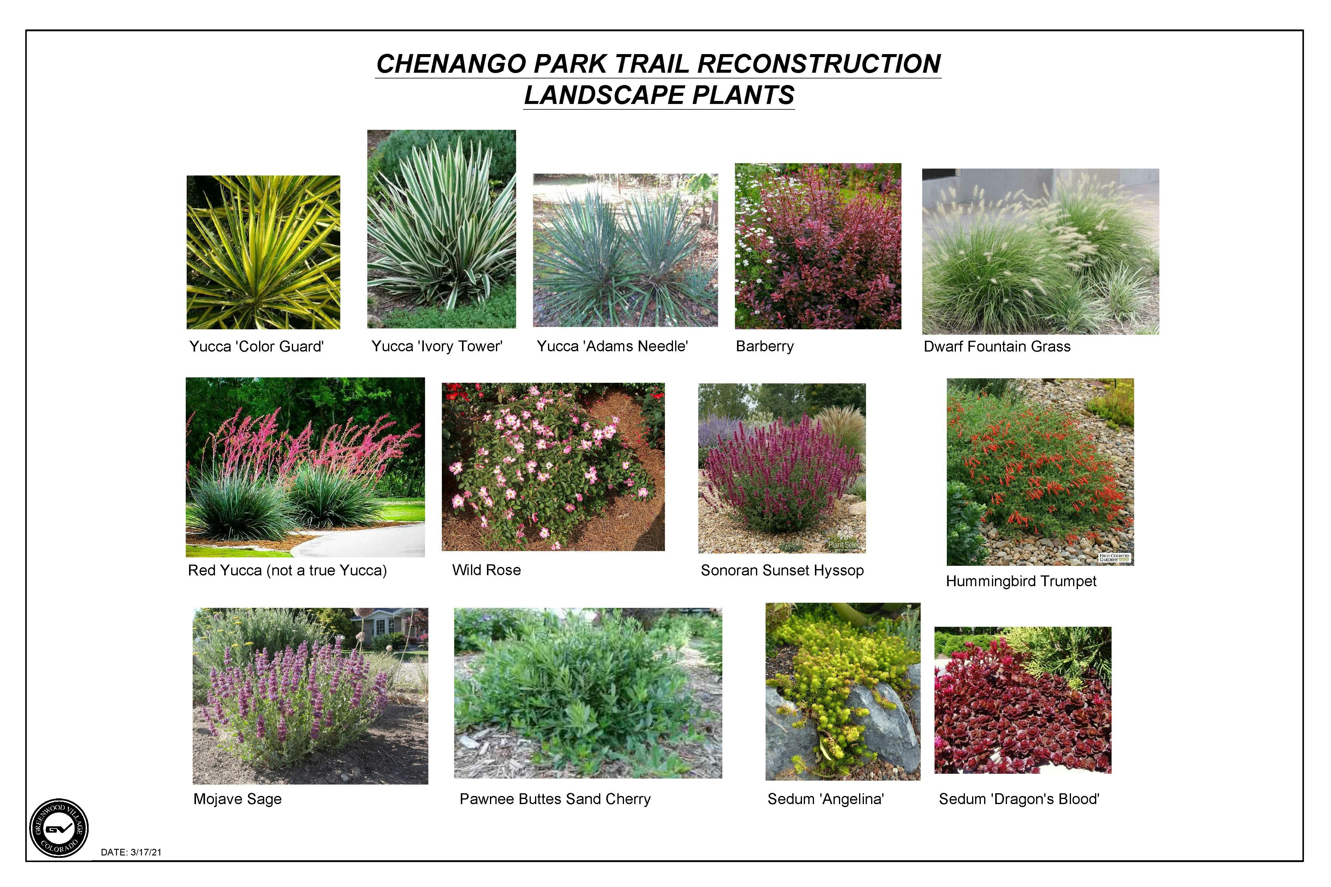 Chenango Plant Palette-Shrubs.jpg