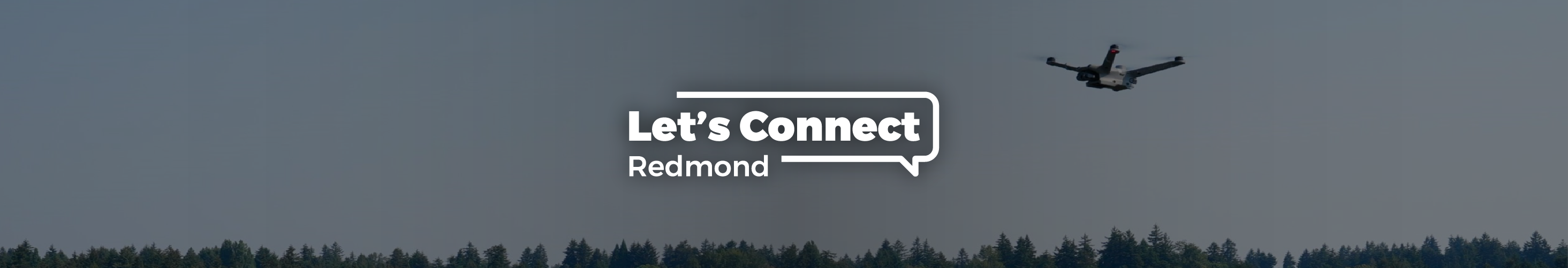 project banner