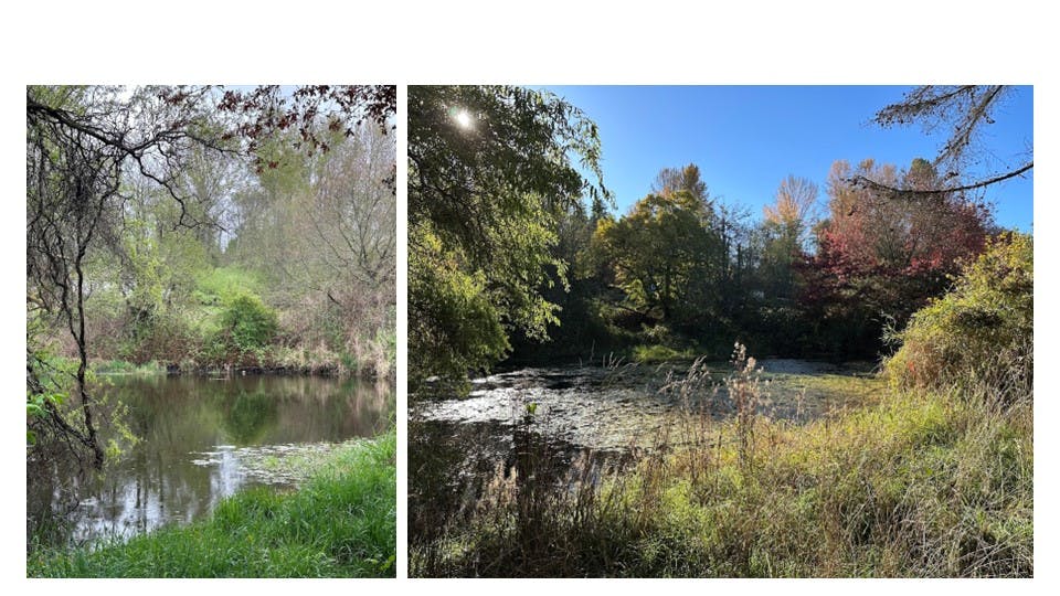 Existing Pond