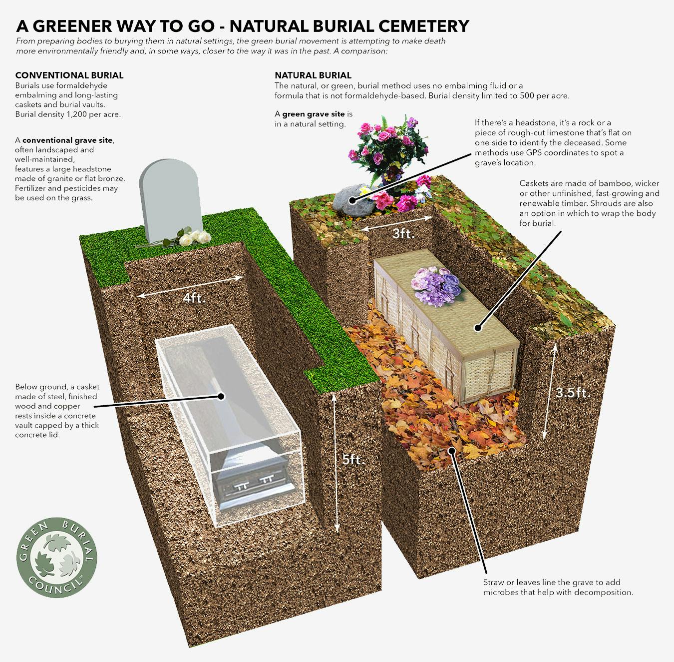 Green Burial Council-Graphic-Natural-Burial-Cemetery-2.jpg