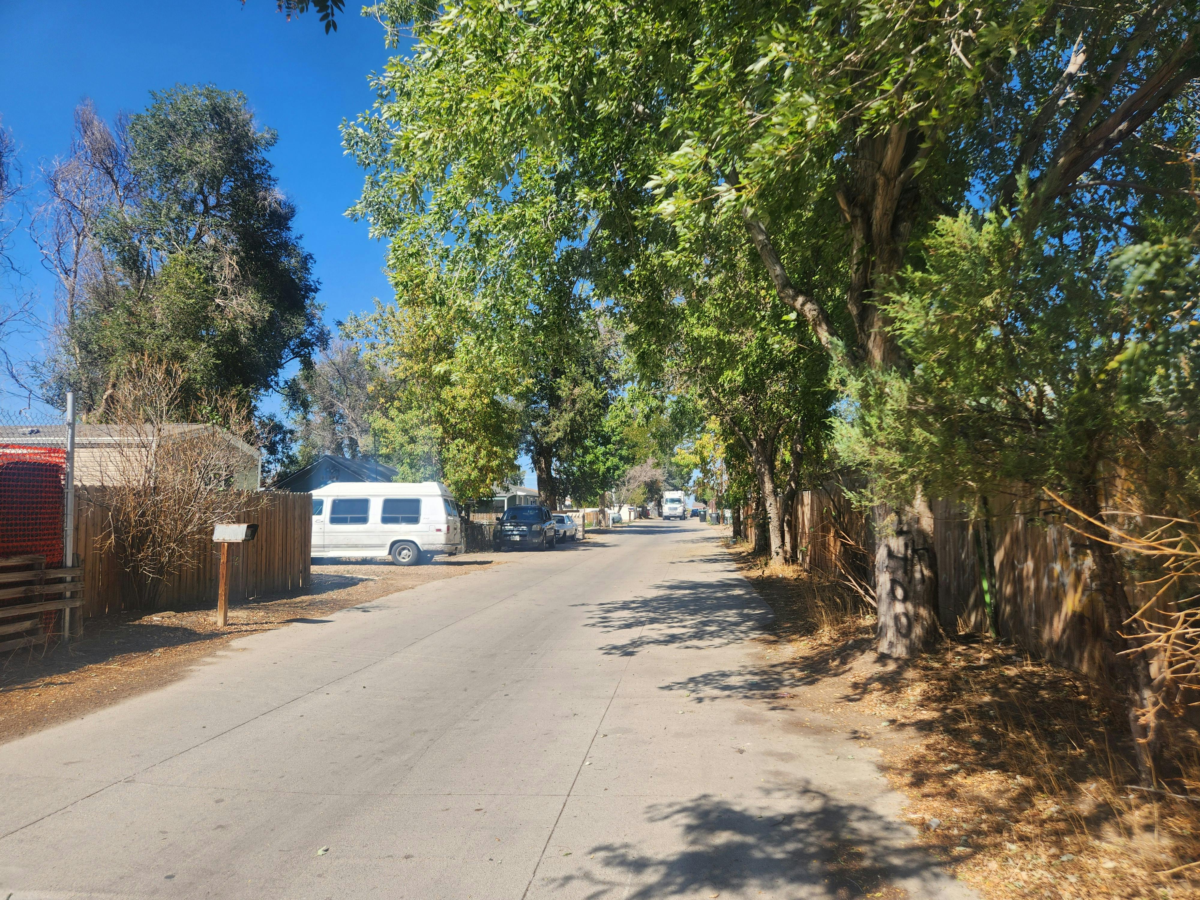 Spanish Colony street lined by homes, cars and trees.