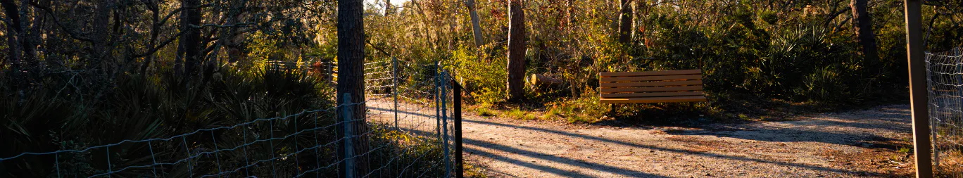Nature trail surrounded by trees