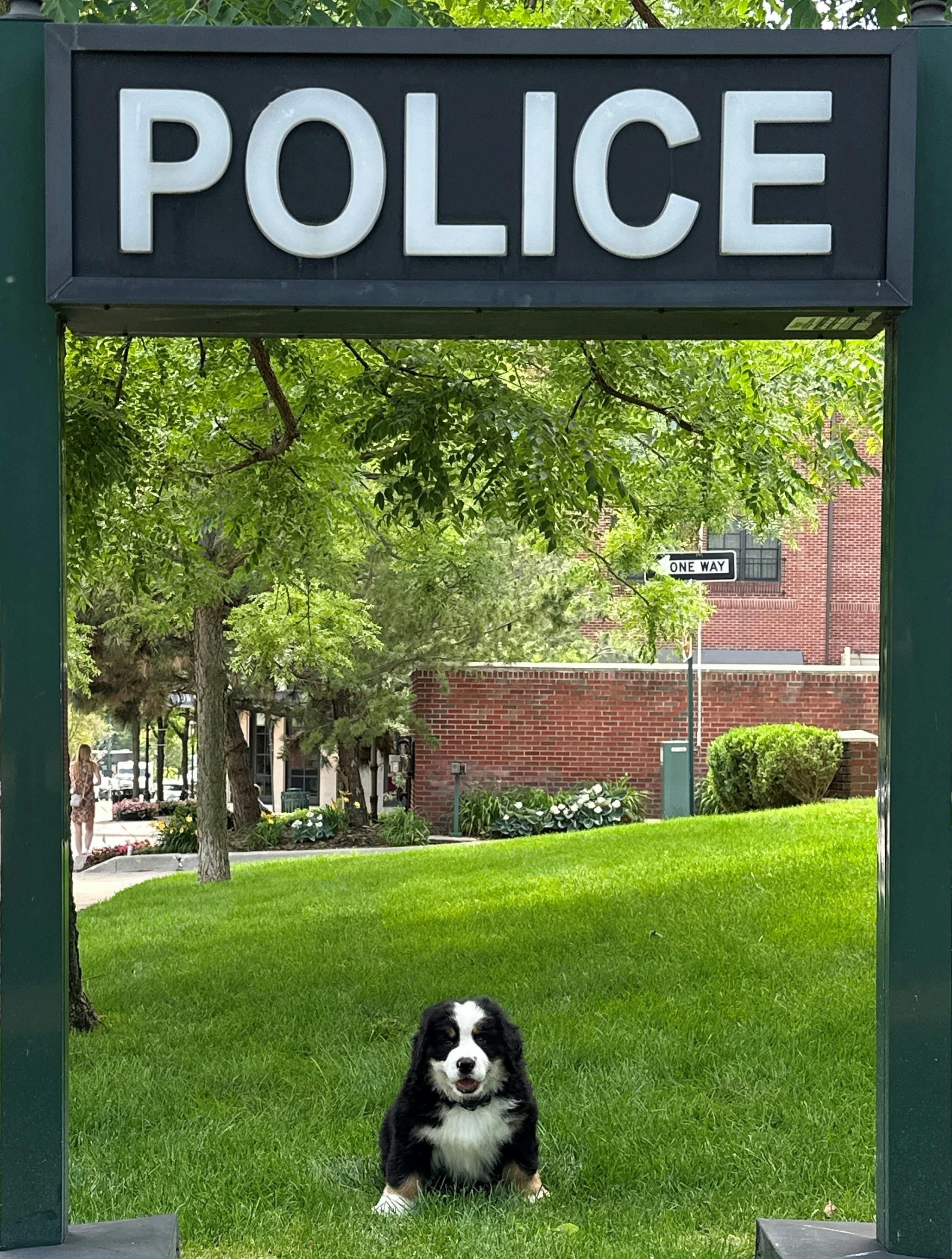 K9 Police Sign .JPG