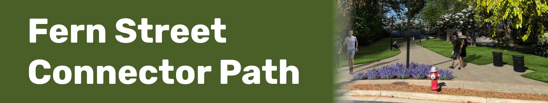 Fern Street Neighborhood Connection