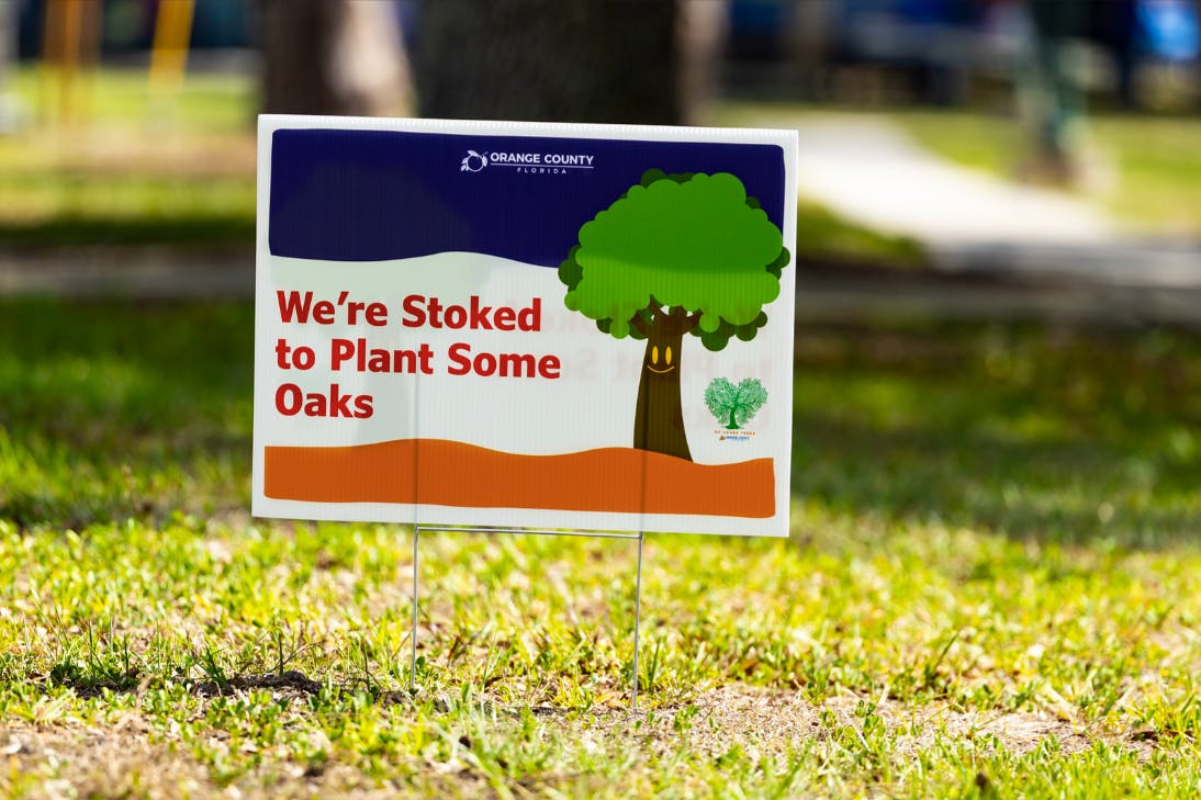 OC Loves Trees