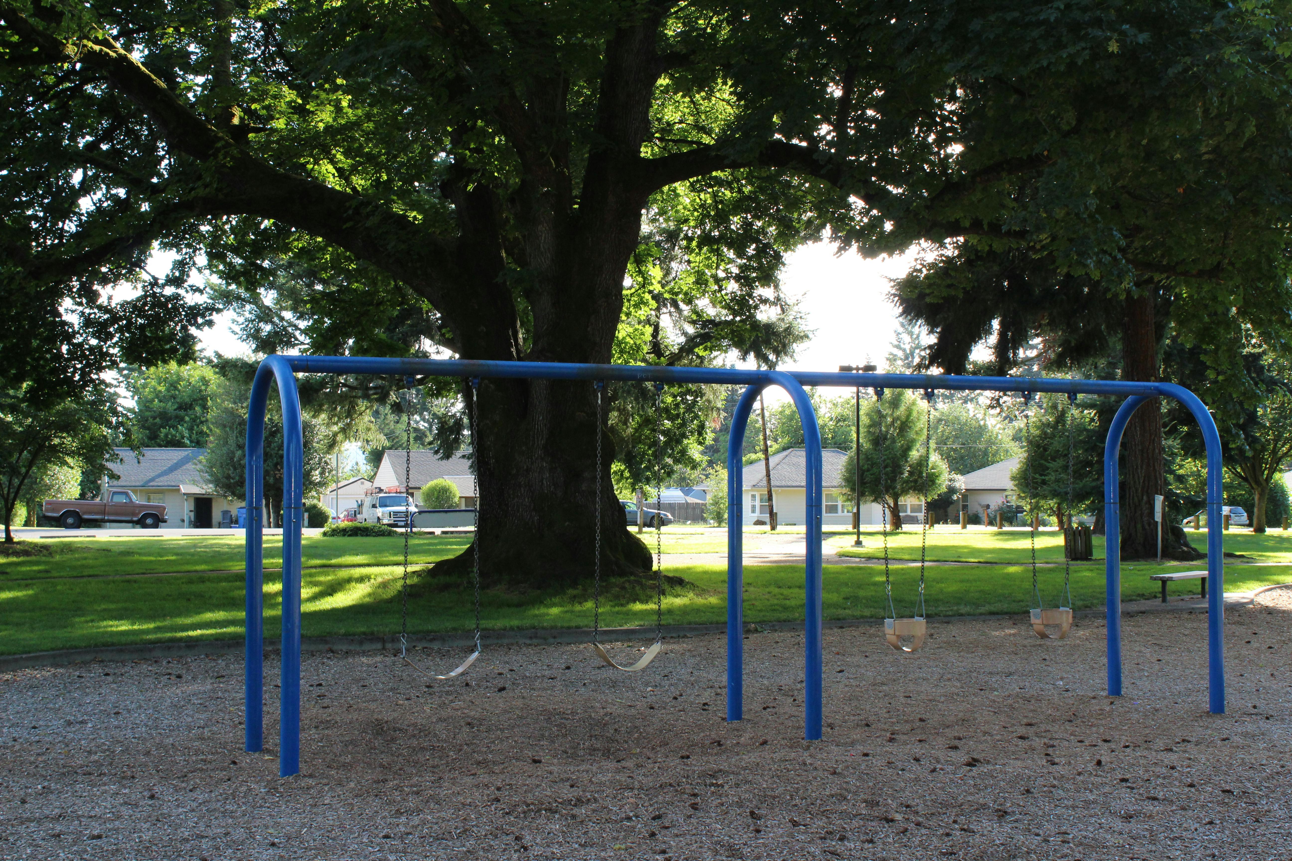 Current Swings at the Fruit Valley Park Playground