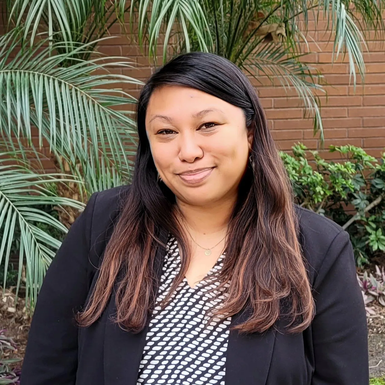 Behavioral Health Services Act Integrated Plan | Engage San Diego County