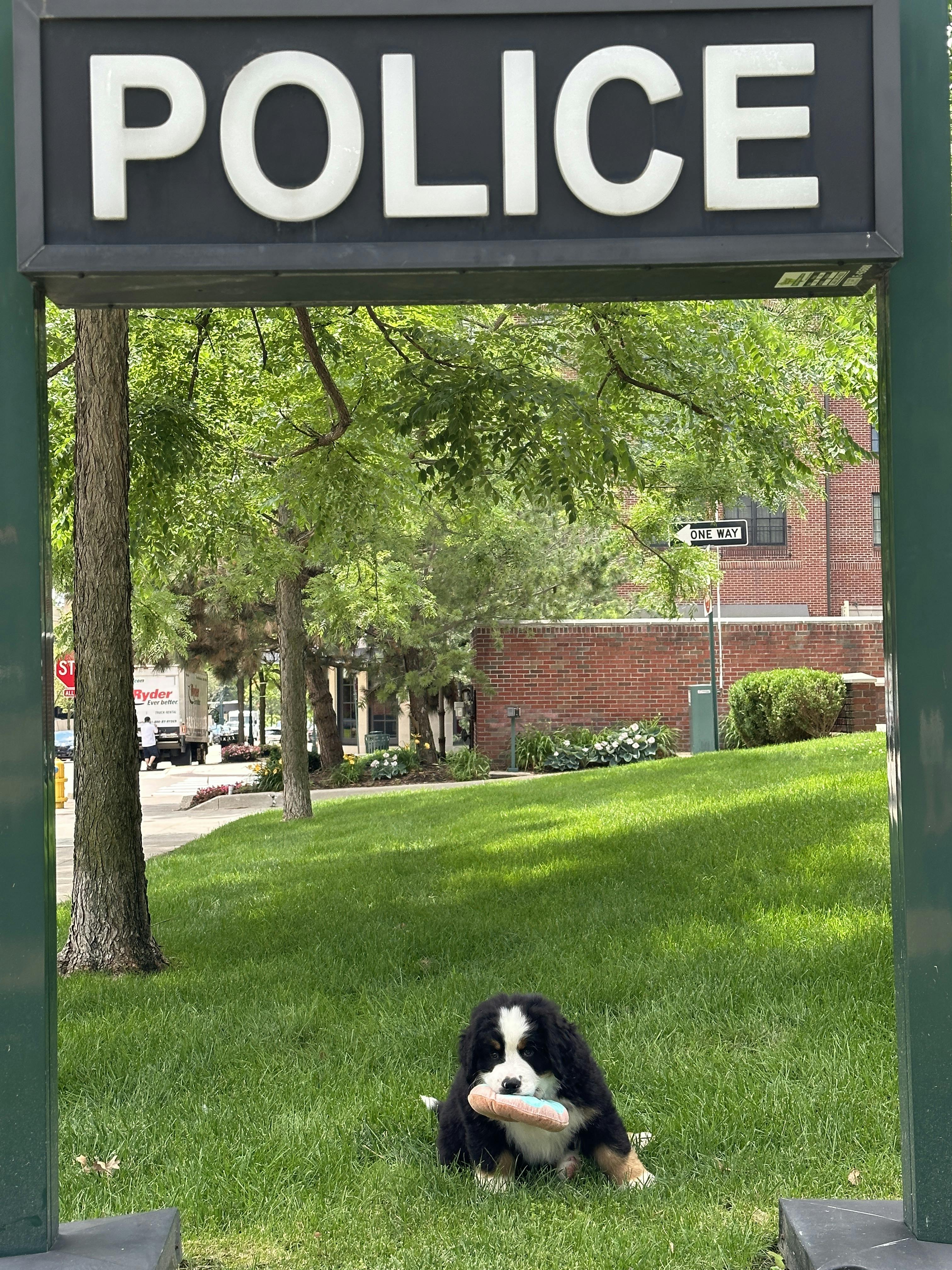 K9 Police Sign with Donut.JPG