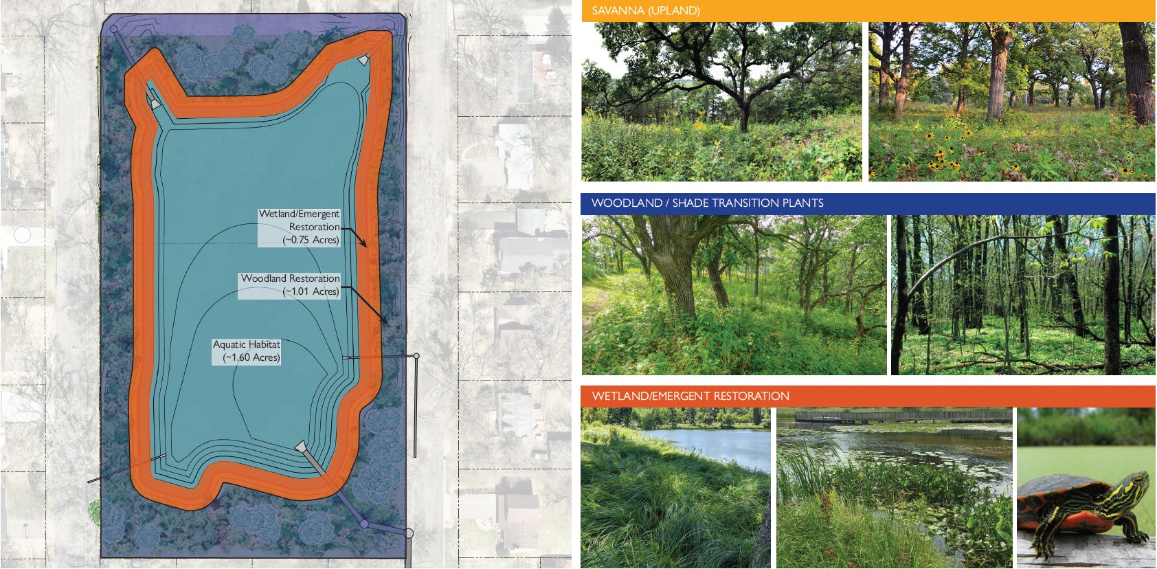Lynn Kipling Inundation Area Habitat Plan.PNG
